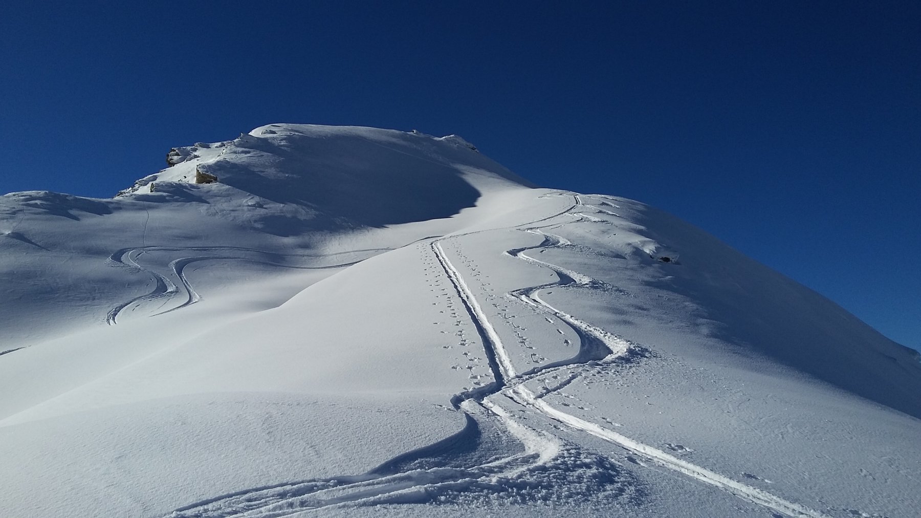 bella neve sotto la punta