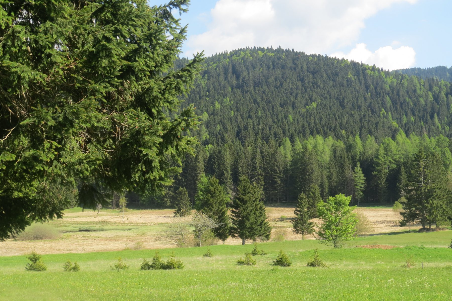 Il biotopo di Ecken, area protetta
