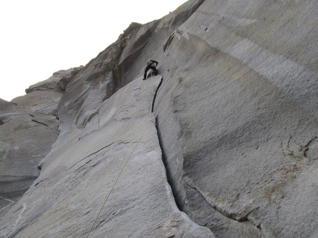 La bella Foglie cadenti