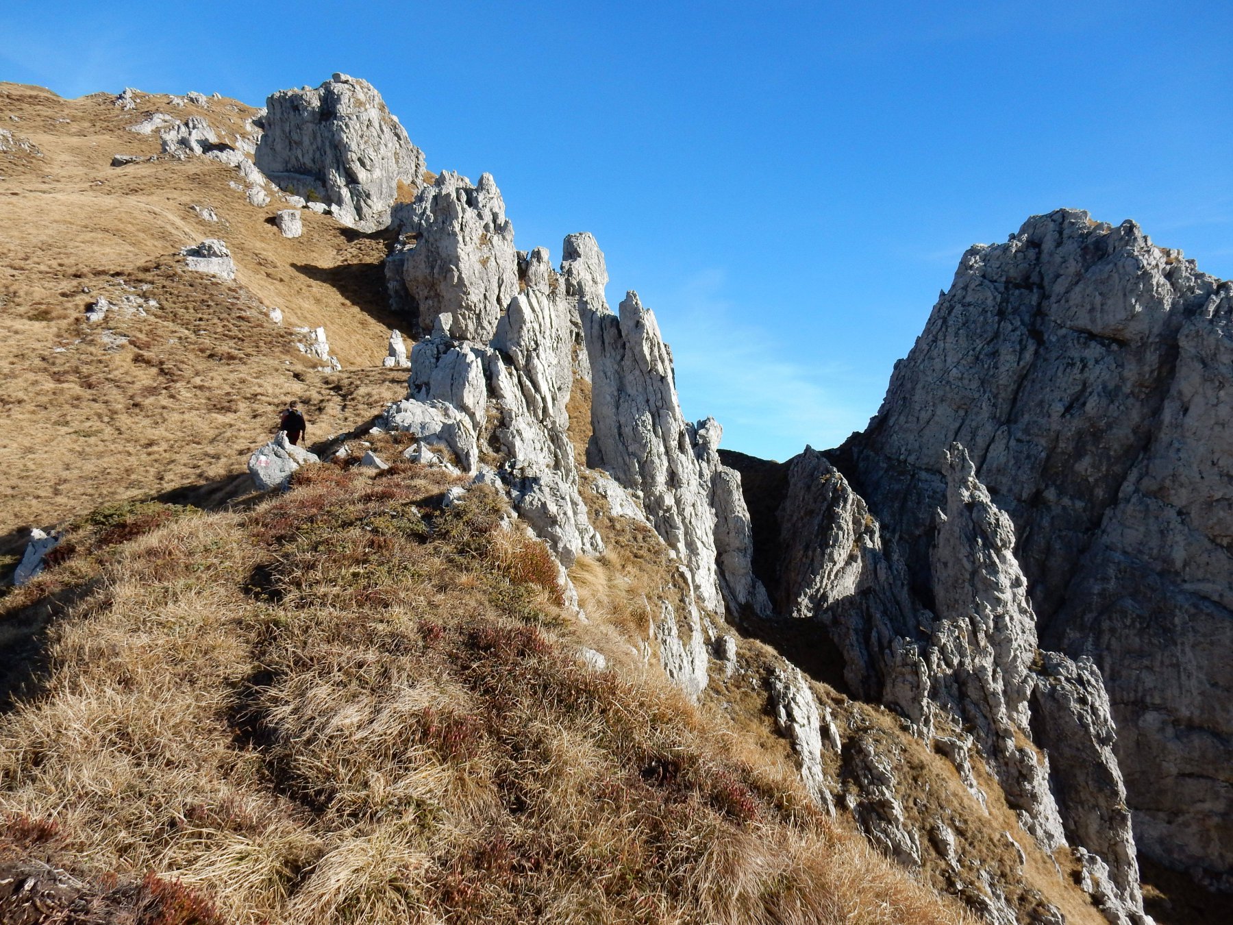 Sul sentiero 525 delle creste. 