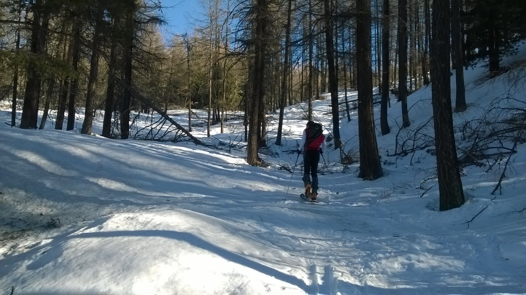 Traccia gelata da cima a fondo