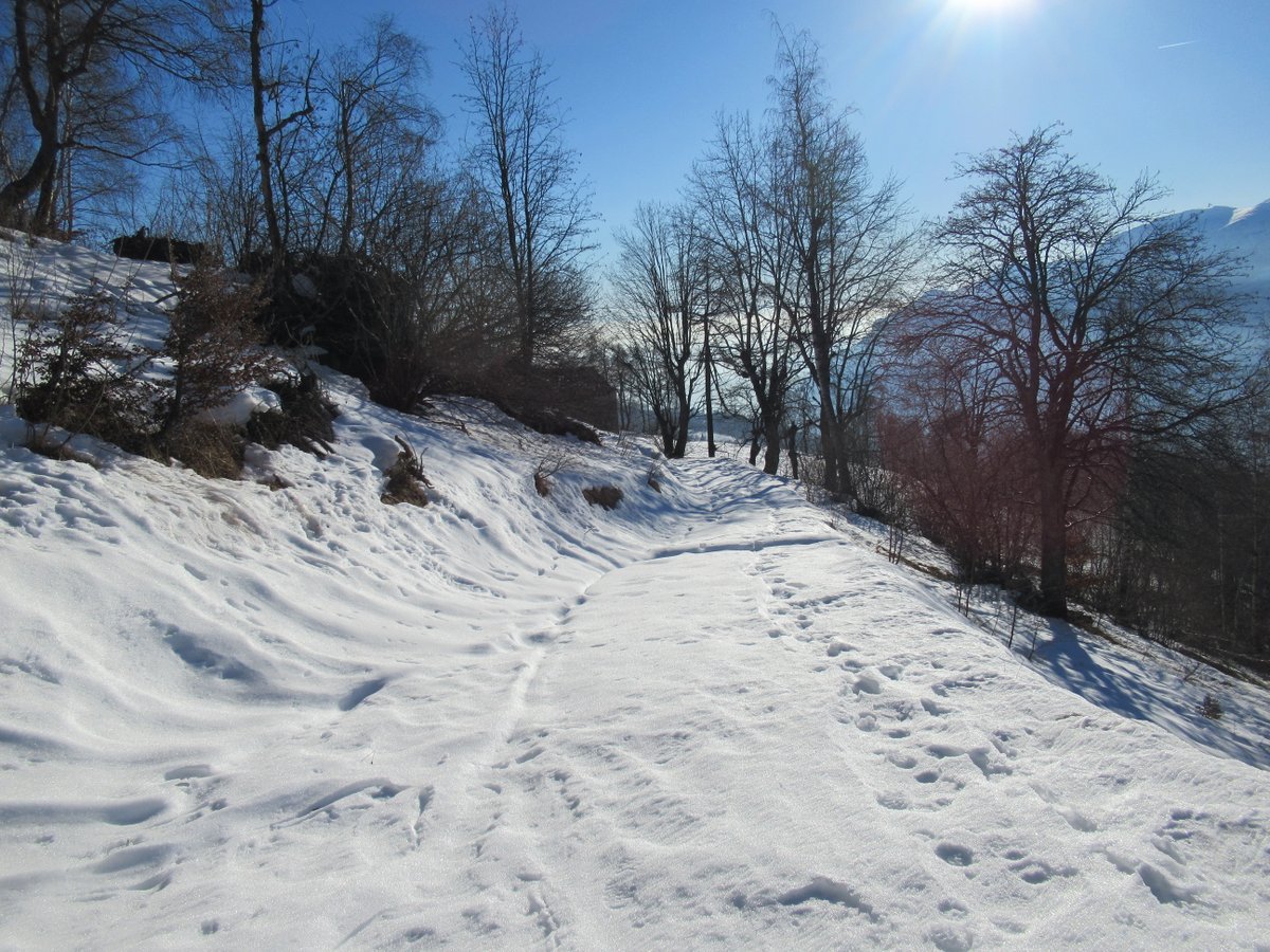 Innevamento sopra Maletto