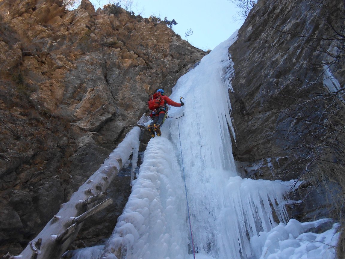 Muro delicato e lingue sul tronco!
