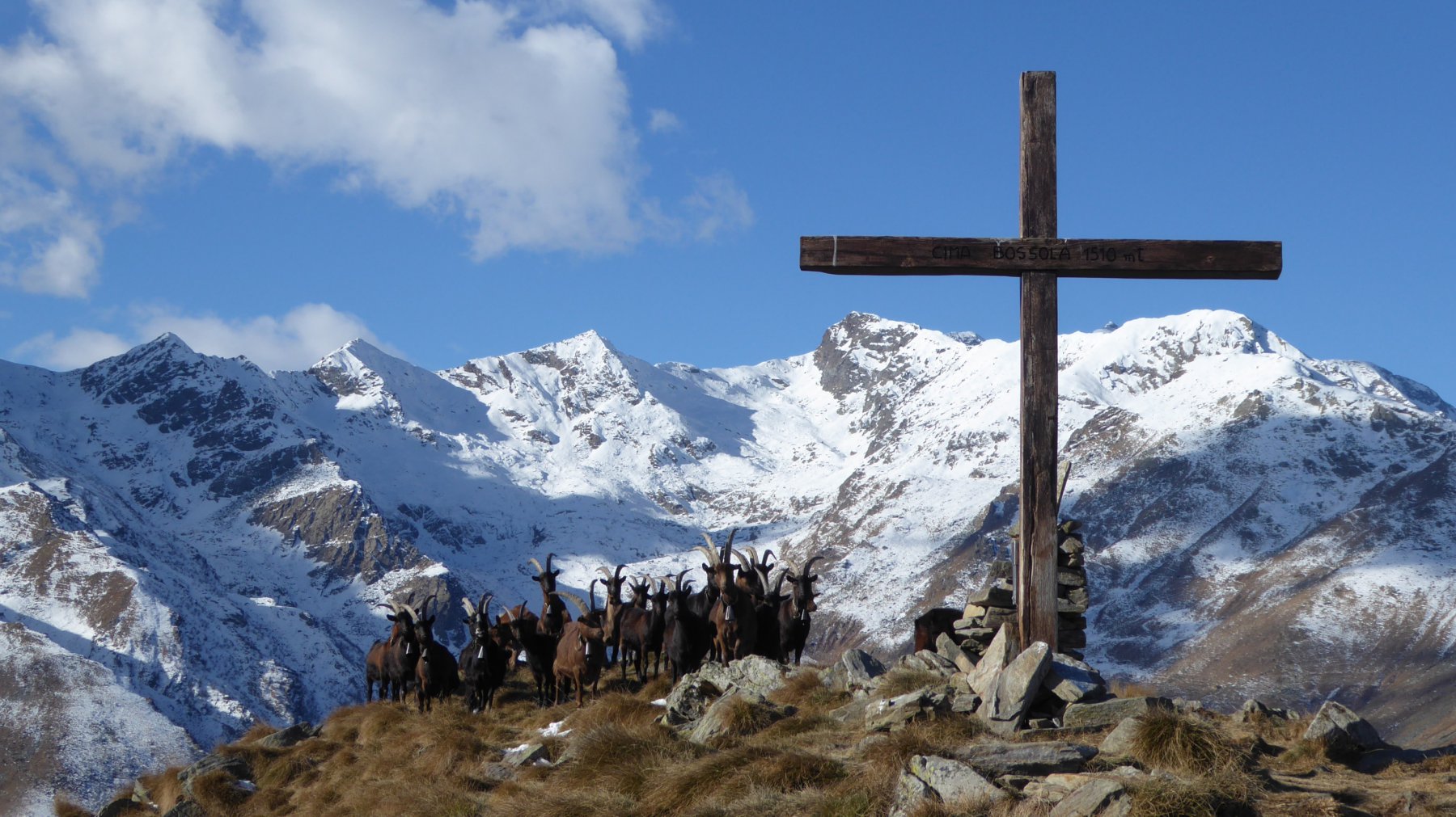 Cima Bossola, frequentata!