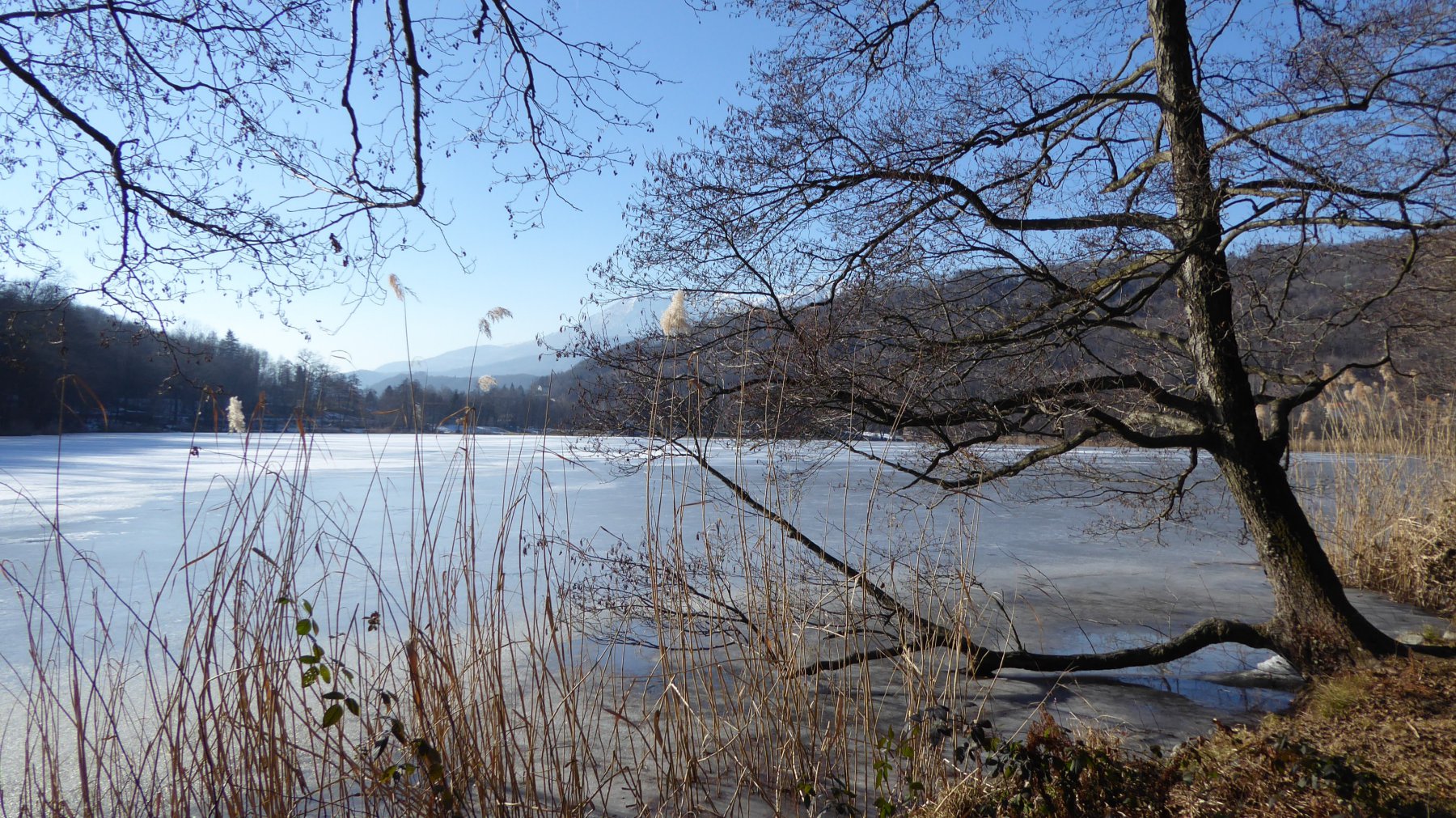 Lago grande di Alice