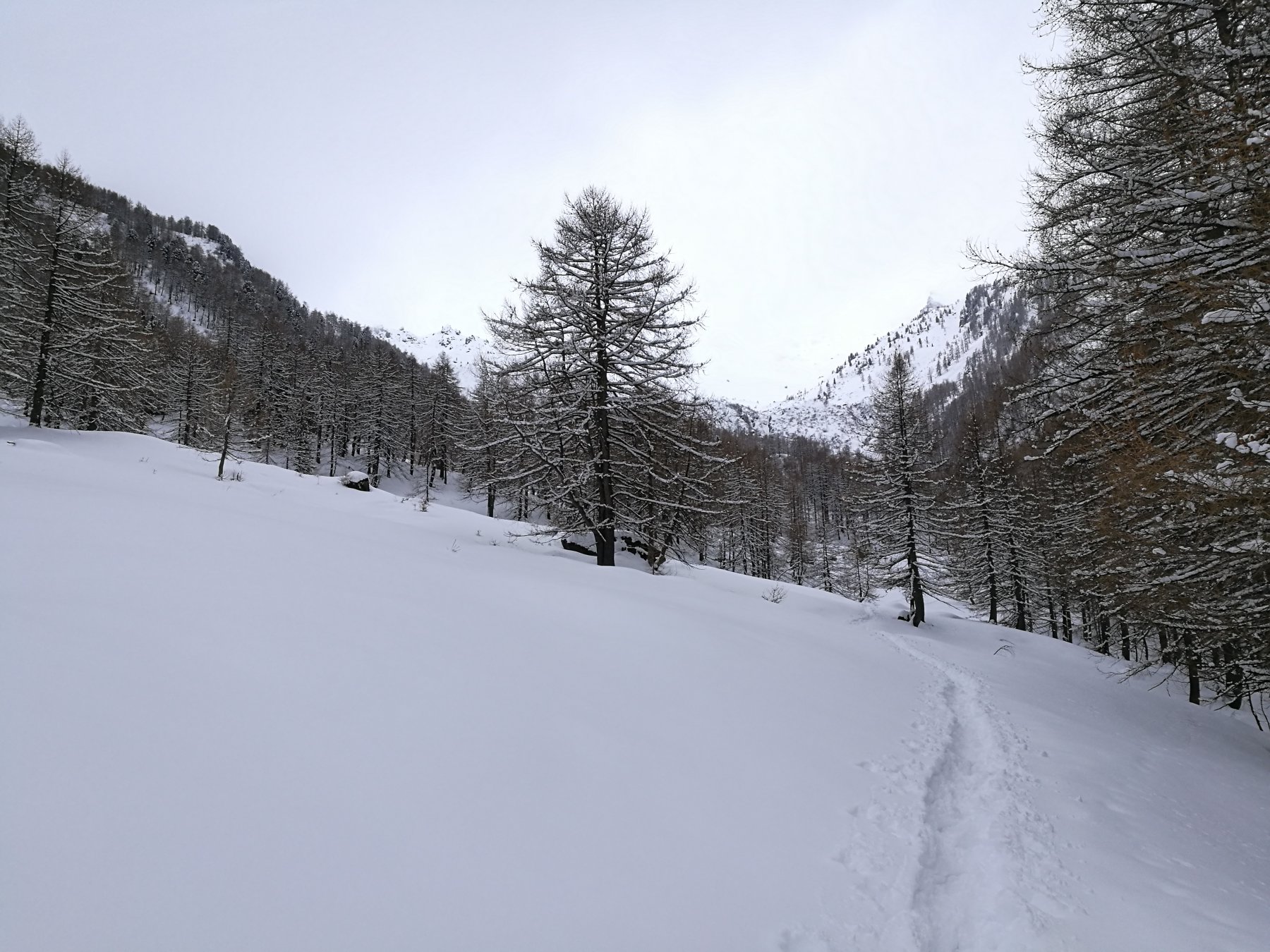 Traccia di ciaspole verso il Toesca