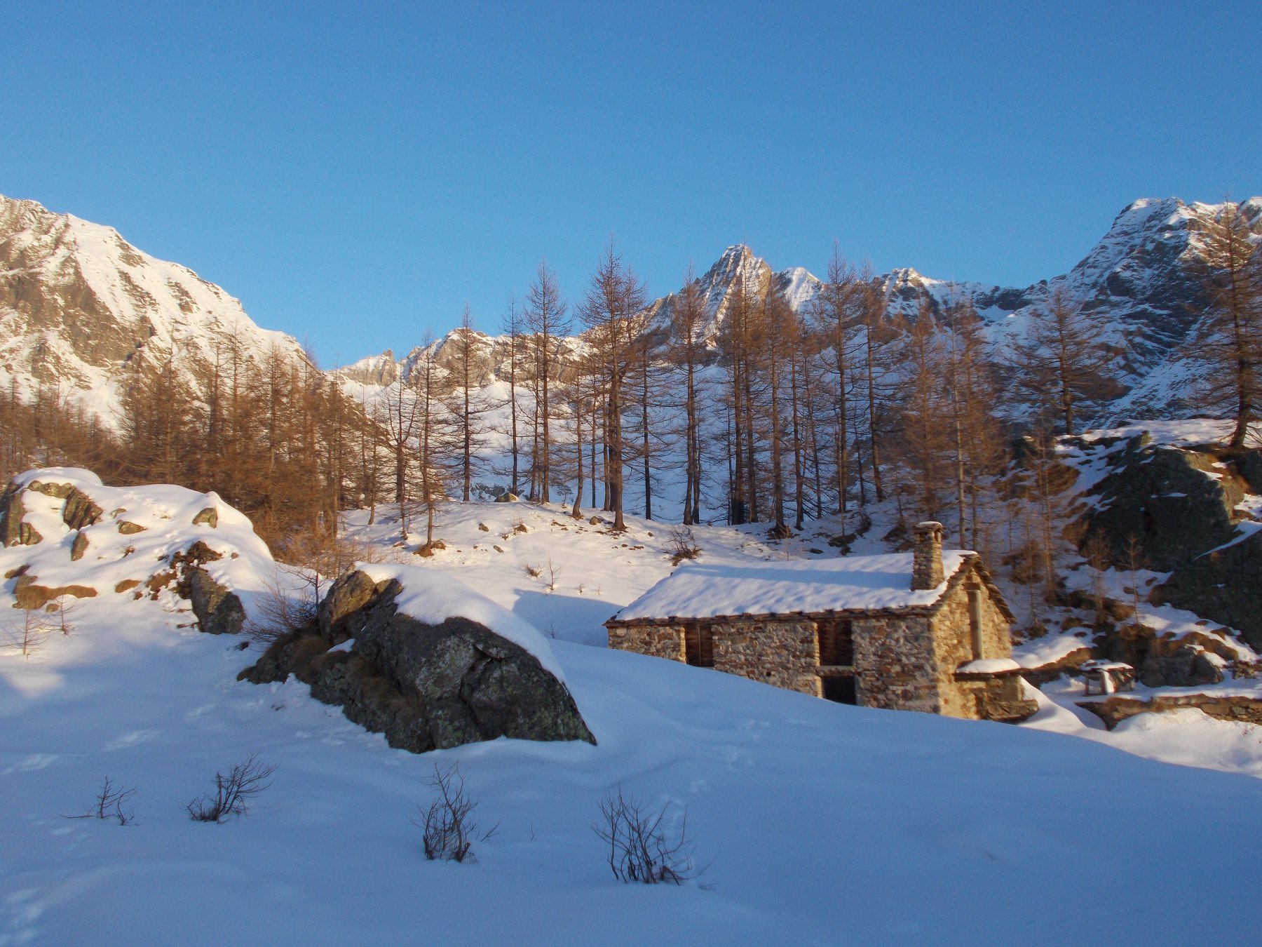 alla Gr. Elevazione.. dietro gli alberi la Torre di Lavina..
