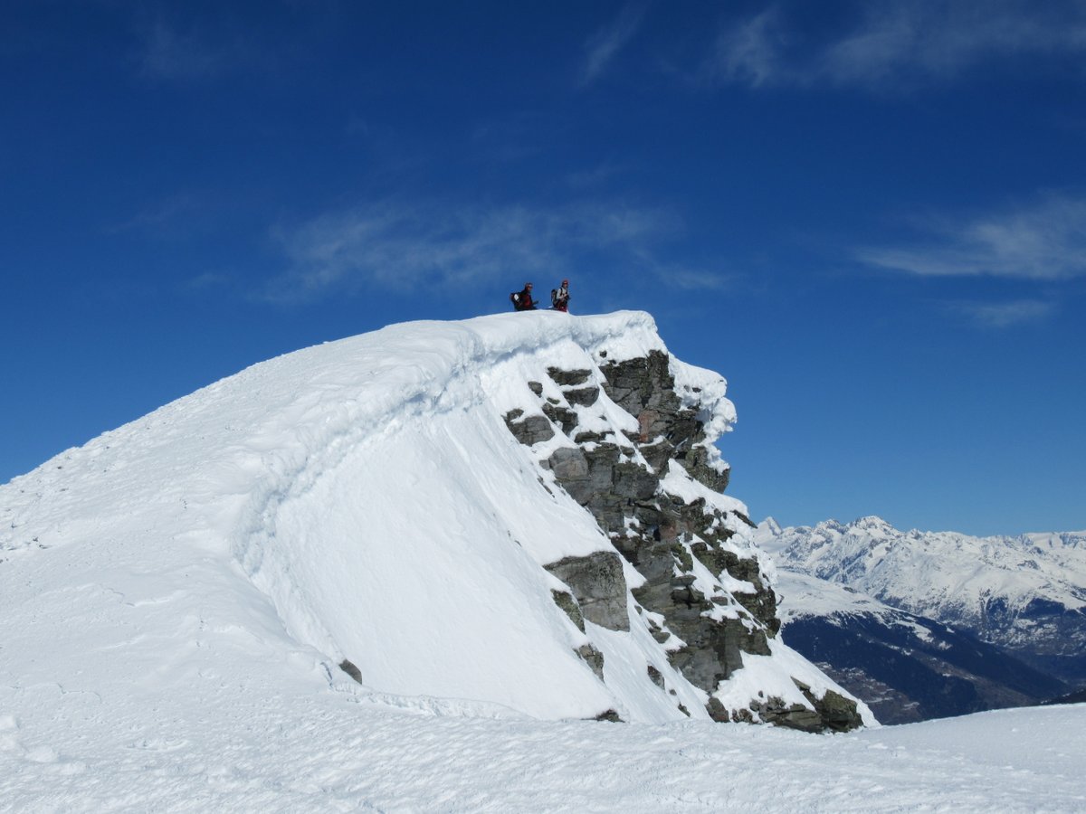 La q. 2733 dello Spitzhorli