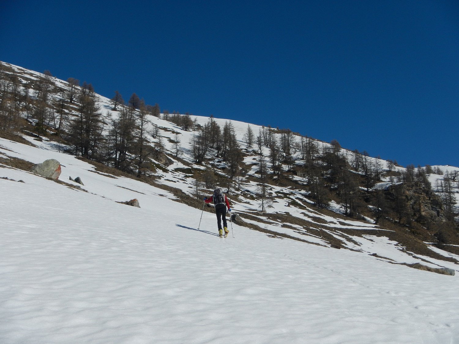 i bei pendii sopra Gr. Roche