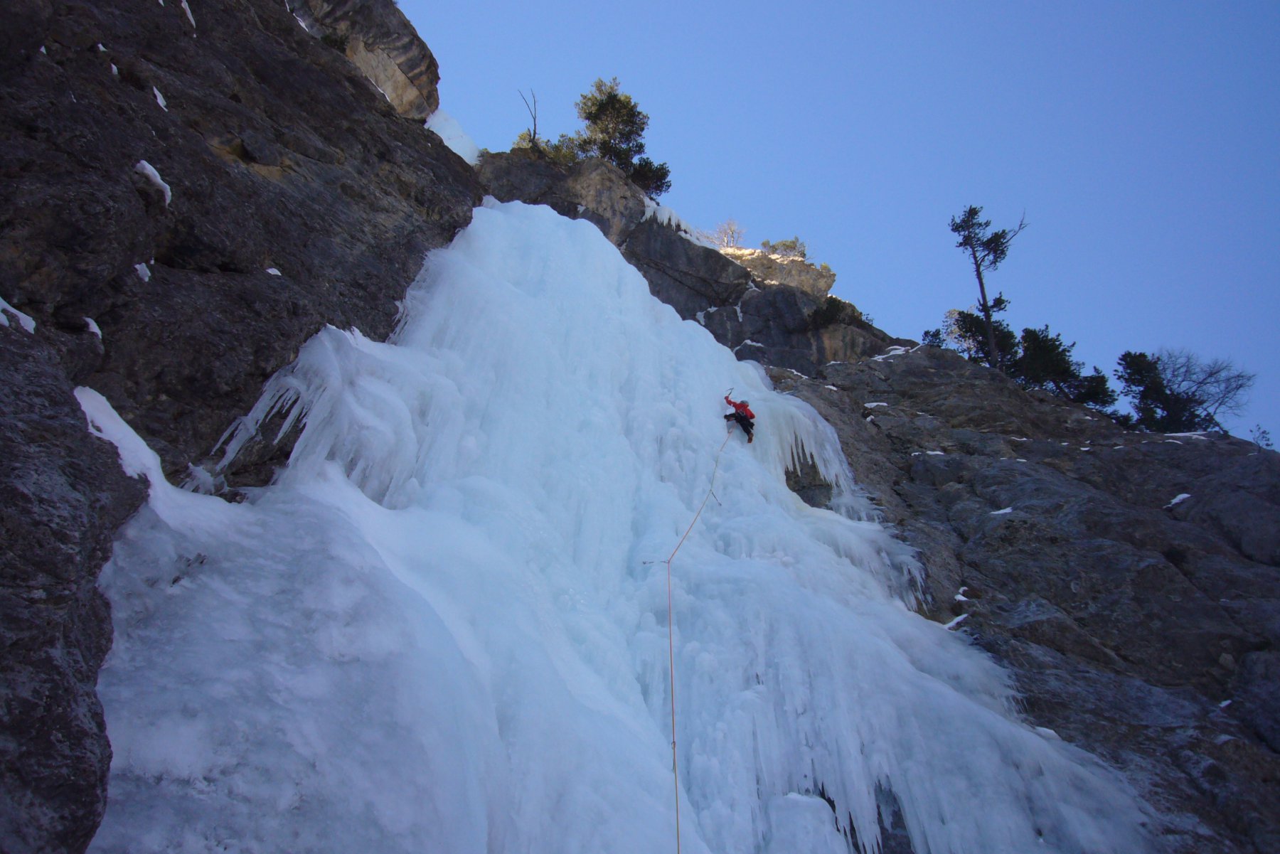 Petit piochon dan,s L1 belle longueur