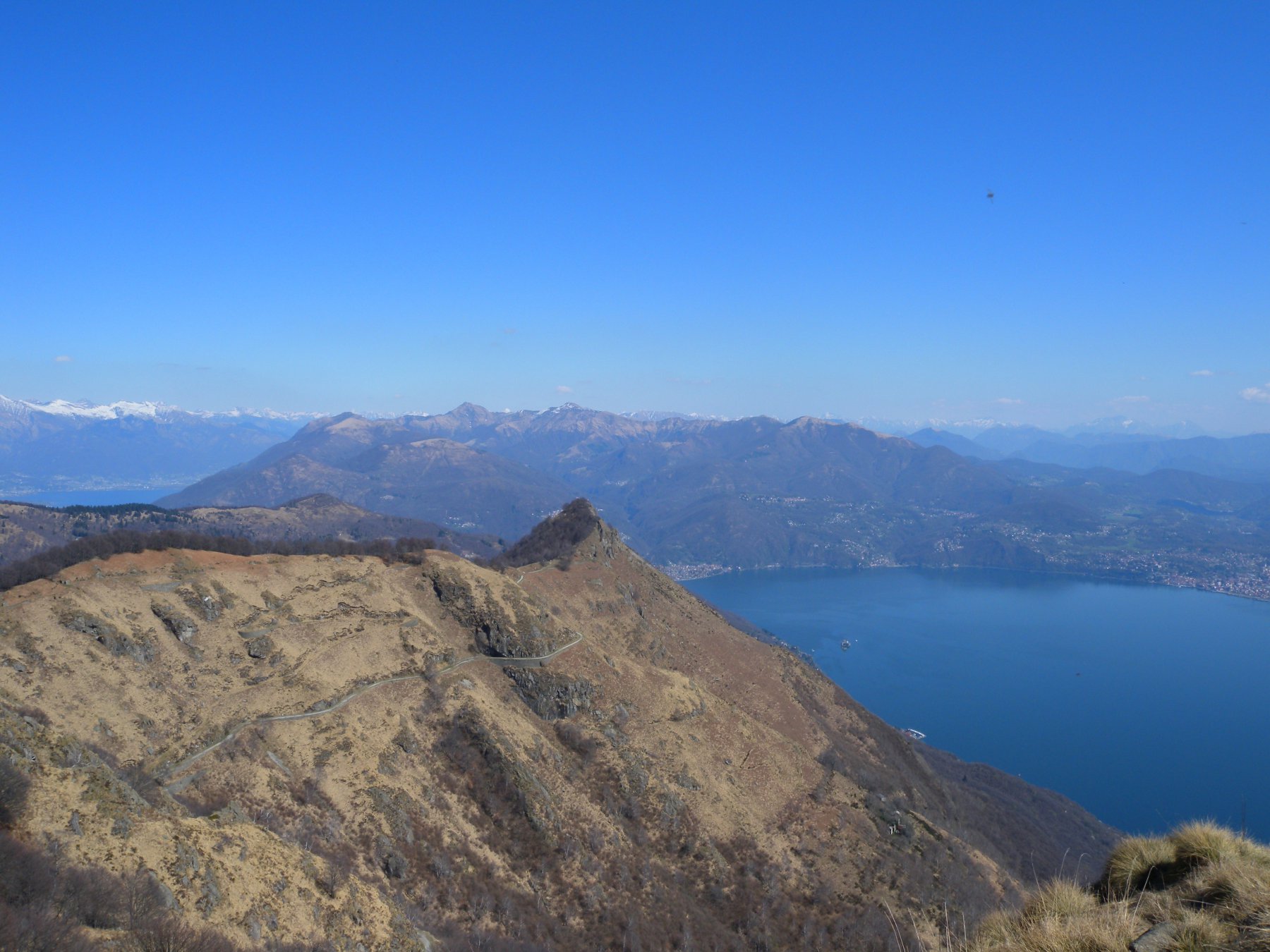 Morissolo dal piccolo M.