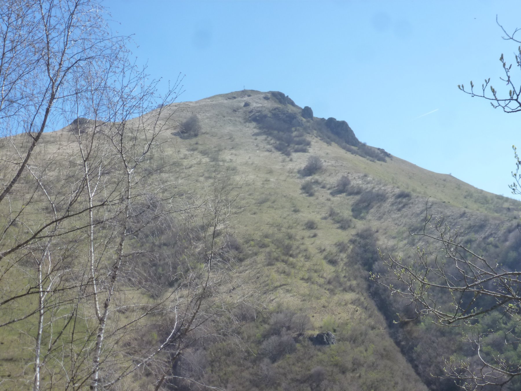 il tagliarè