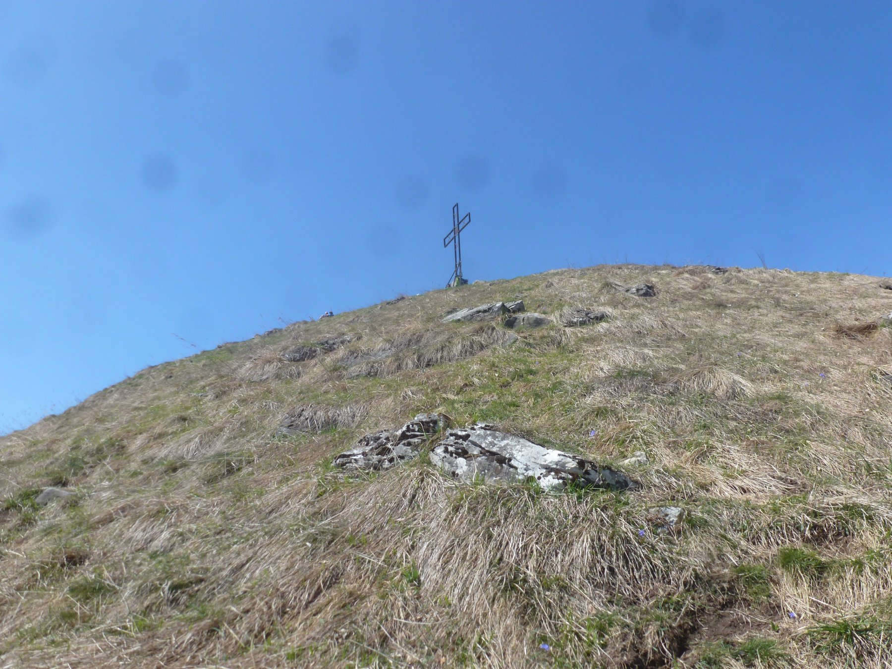 in cima