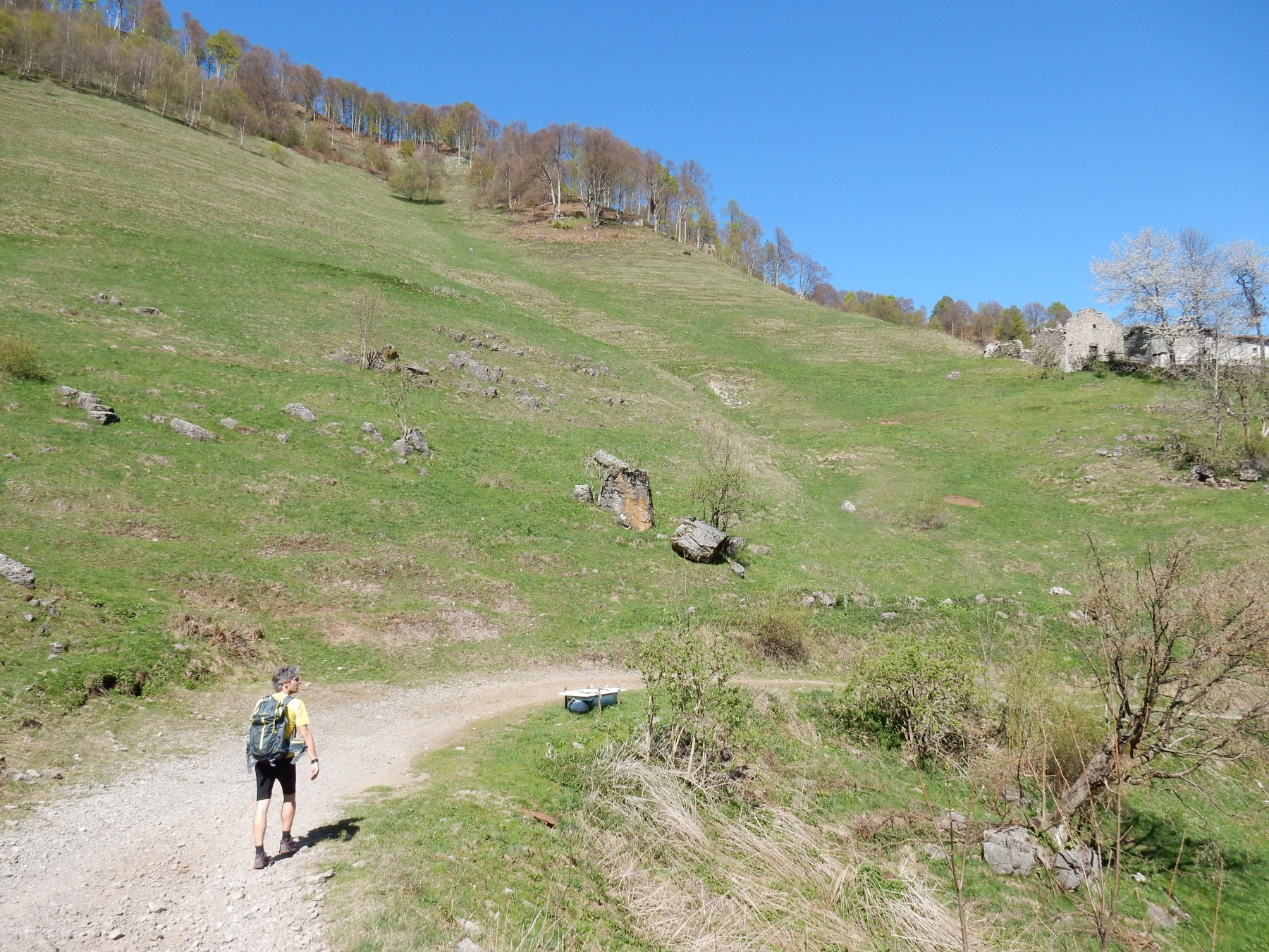 Passiamo l'Alpe Muschiada 1302mt. 