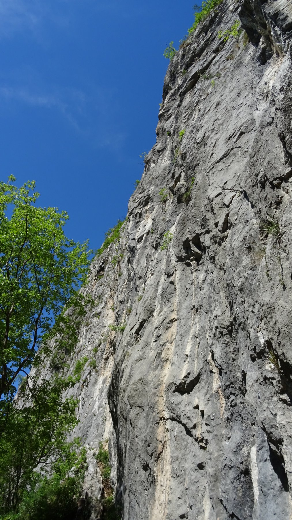 Lato dx PROMESSE NEL SOLE