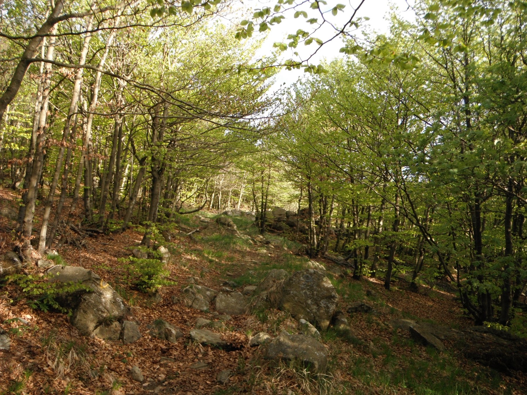 Il sentiero che scende al Dano