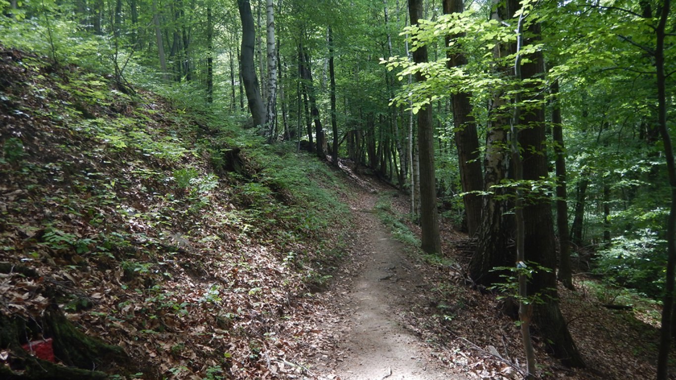 Sul sentiero dei Franchi