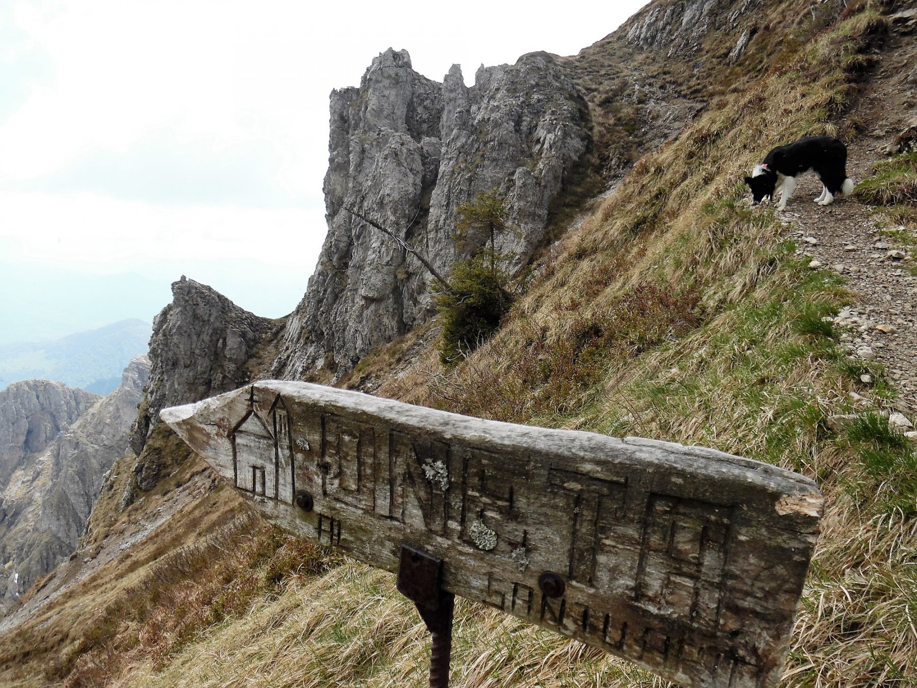 Deviazione per Oneta