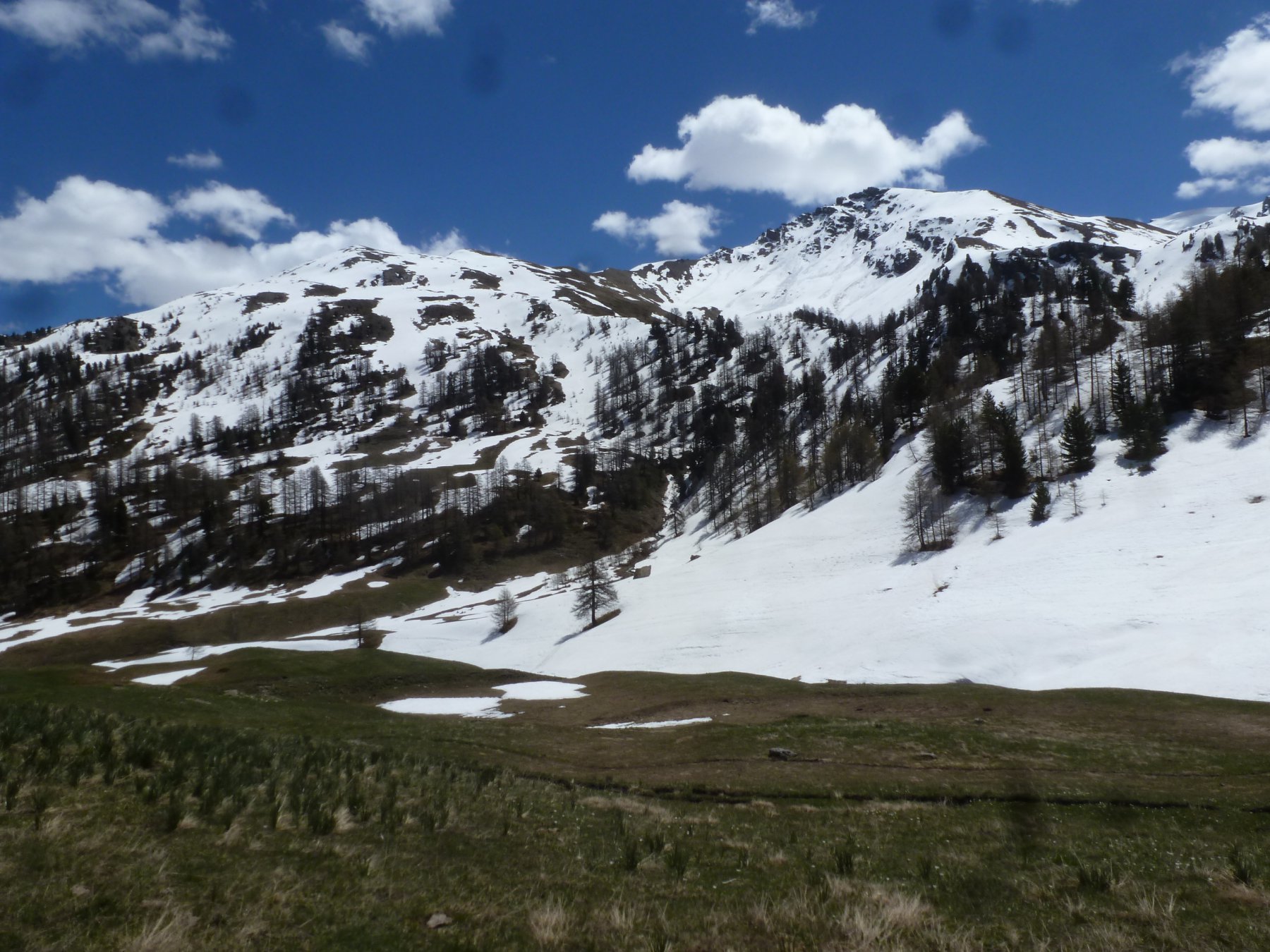 metà neve metà prati