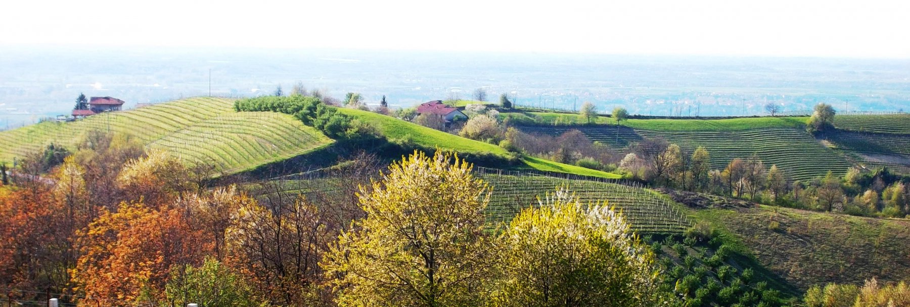 i Colli di Clavesana: u Sbarans