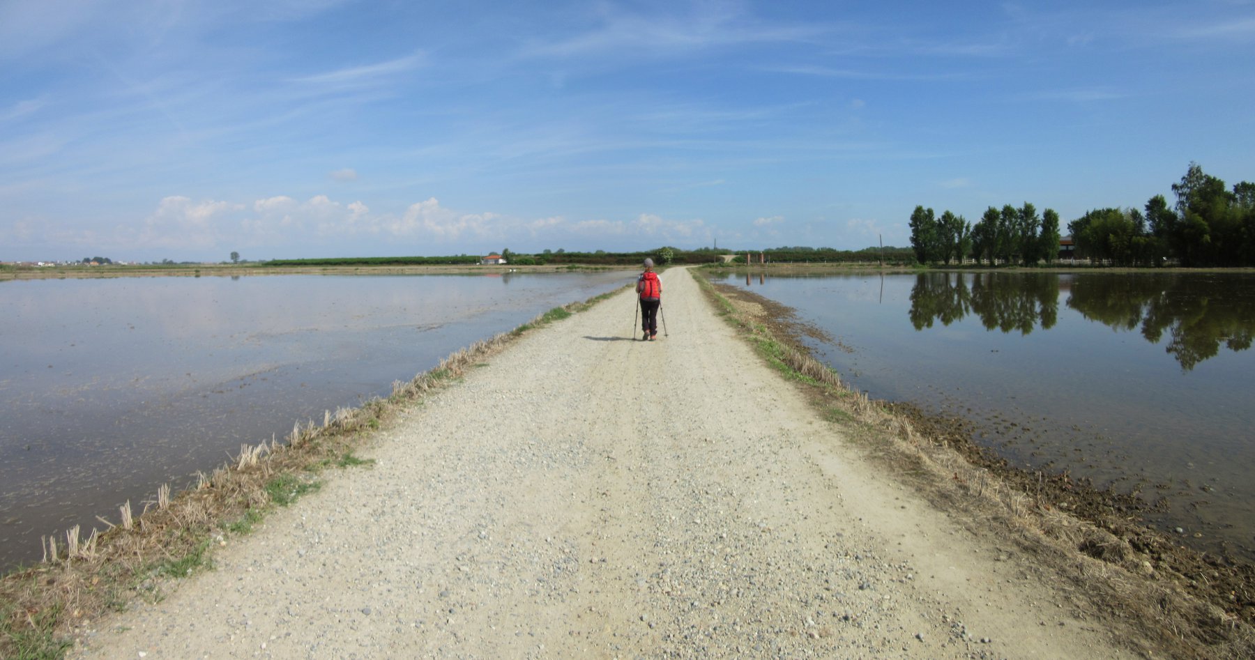 Le risaie a Vercelli
