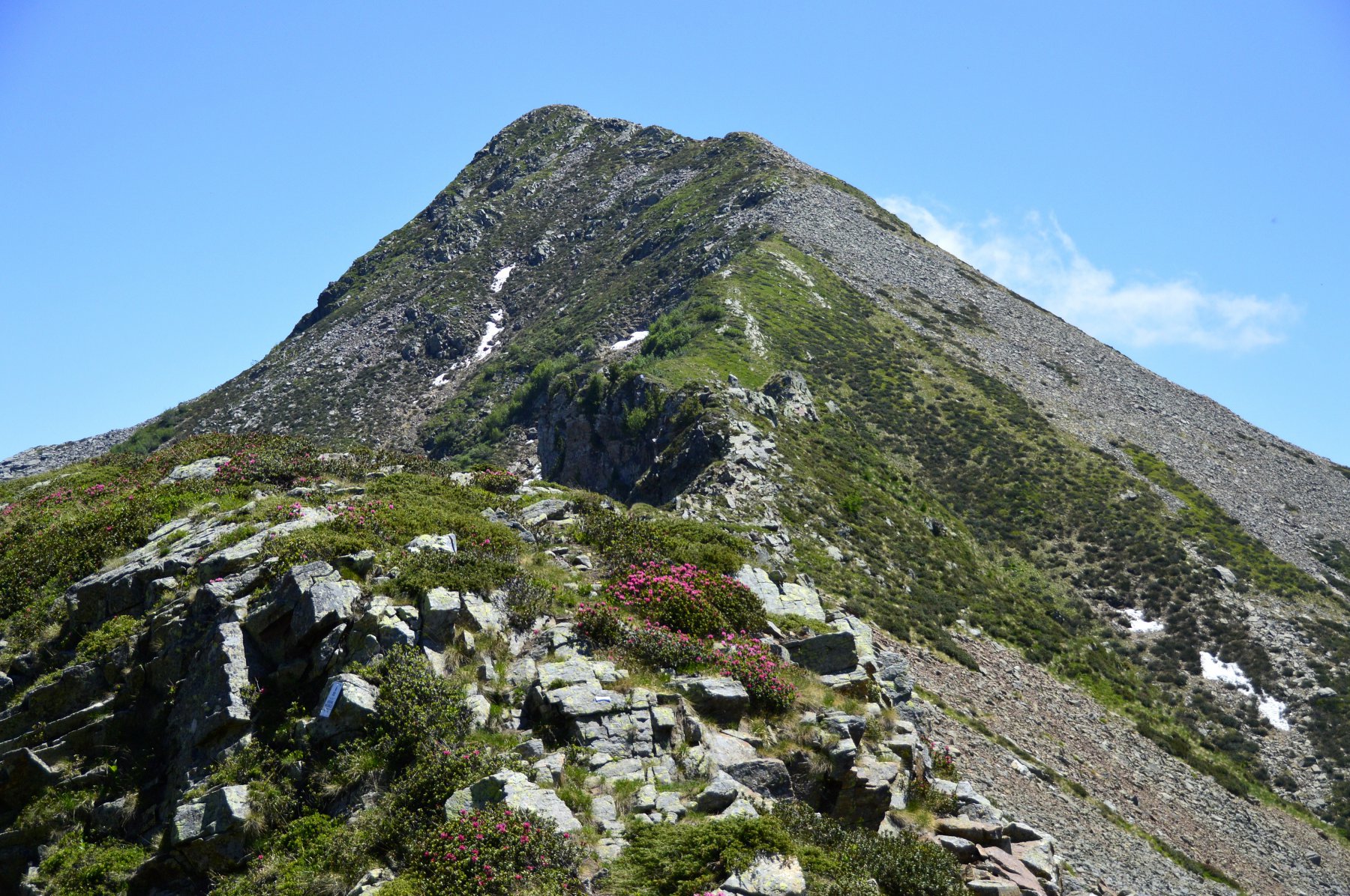 Punta Gran Gabe dal colle