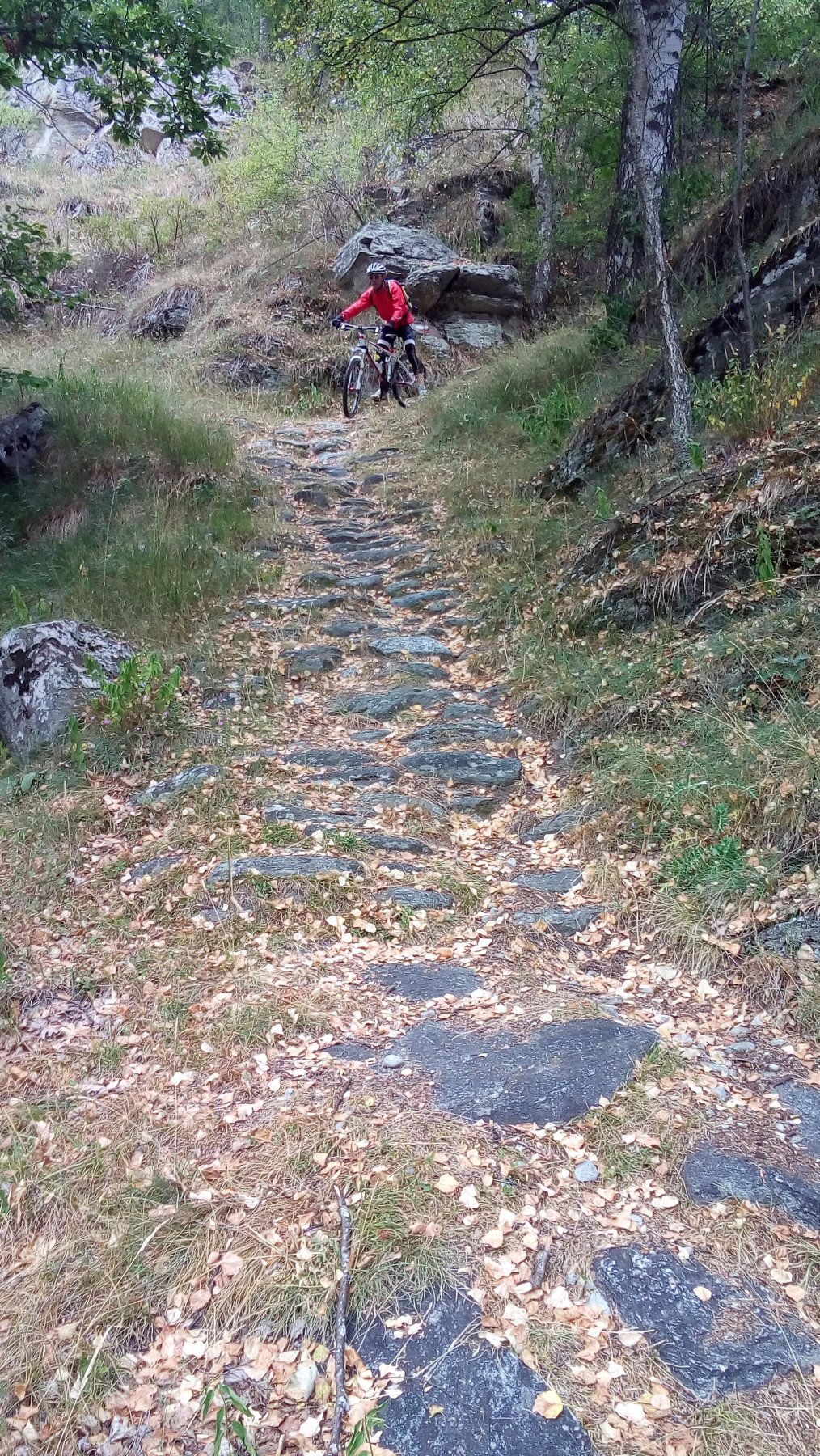 splendido tratto lastricato