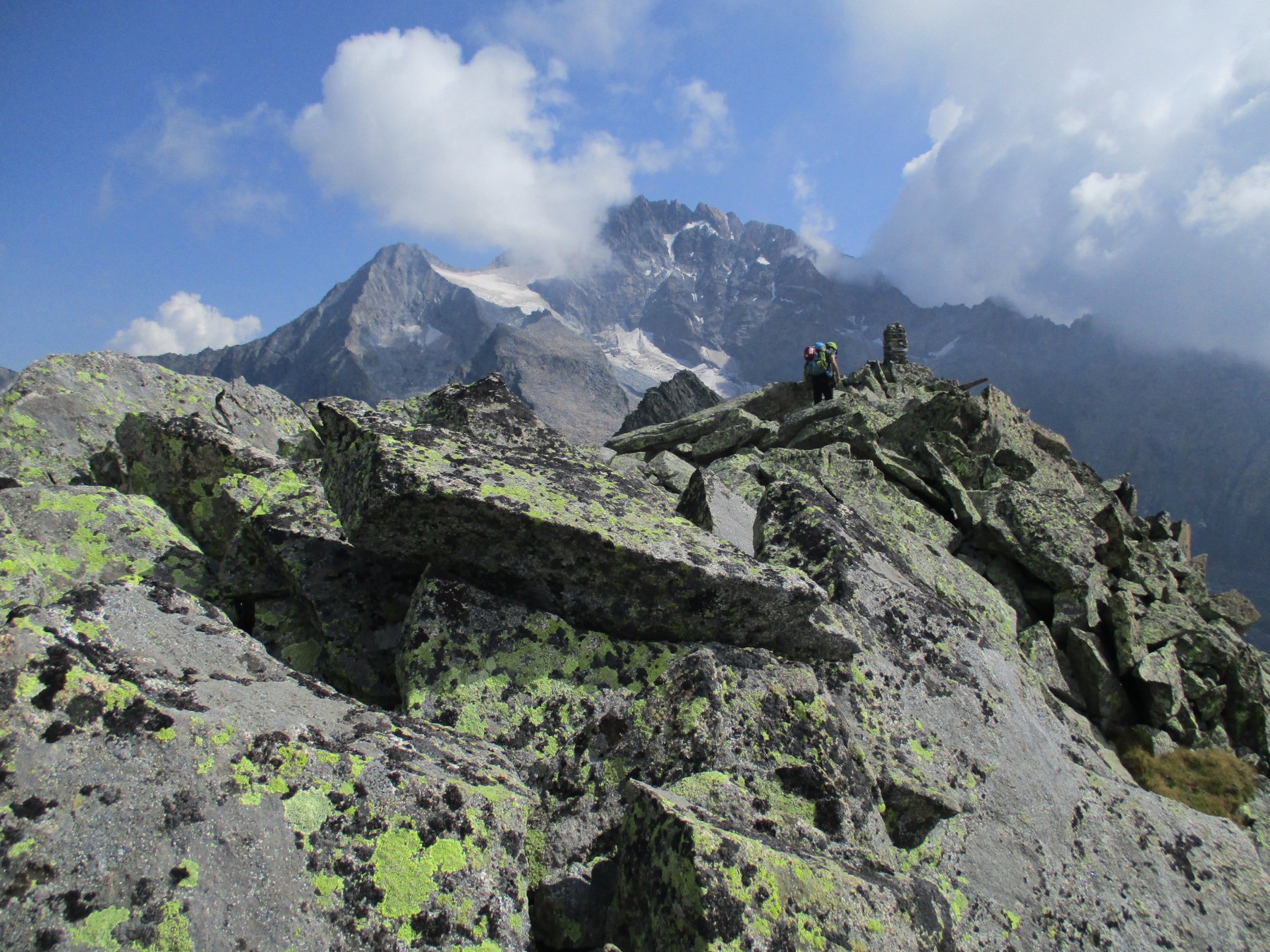 la vetta , sullo sfondo il Disgrazia
