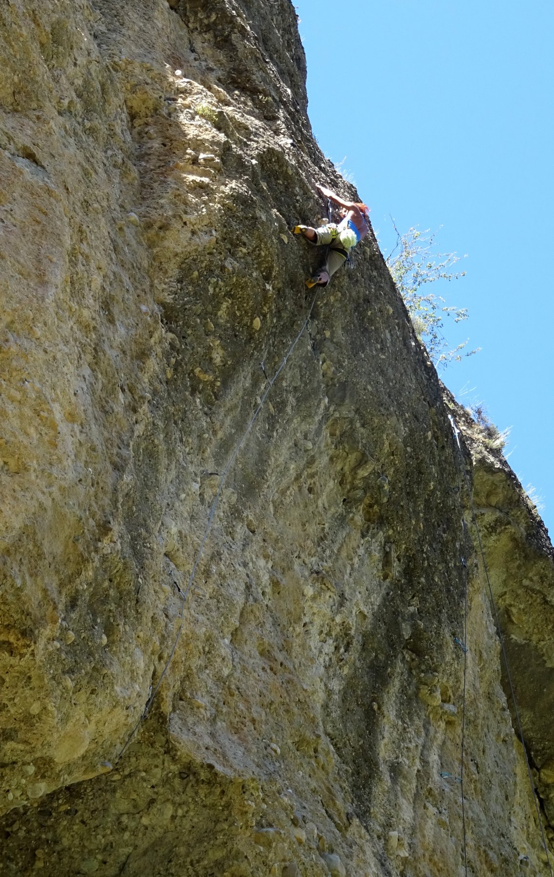 Danila in grande spolvero