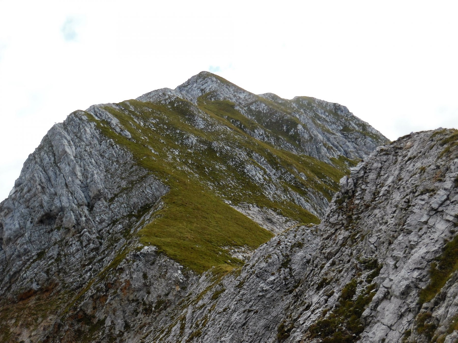 Crinale Cima del Fop