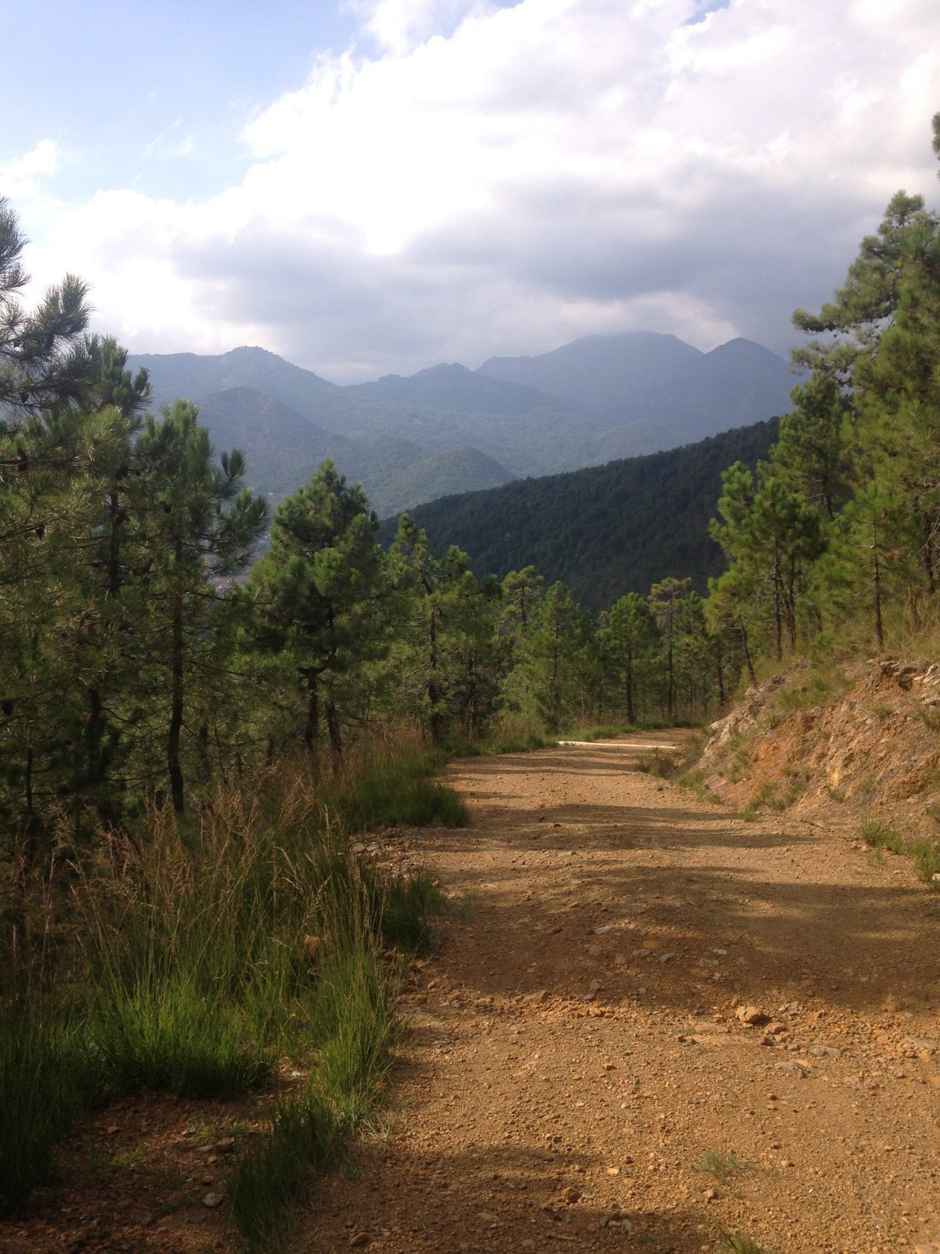 Verso il basso