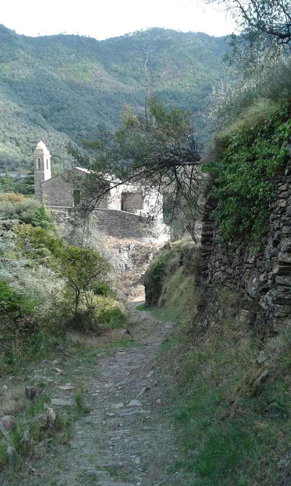 Tratto finale in arrivo a Badalucco