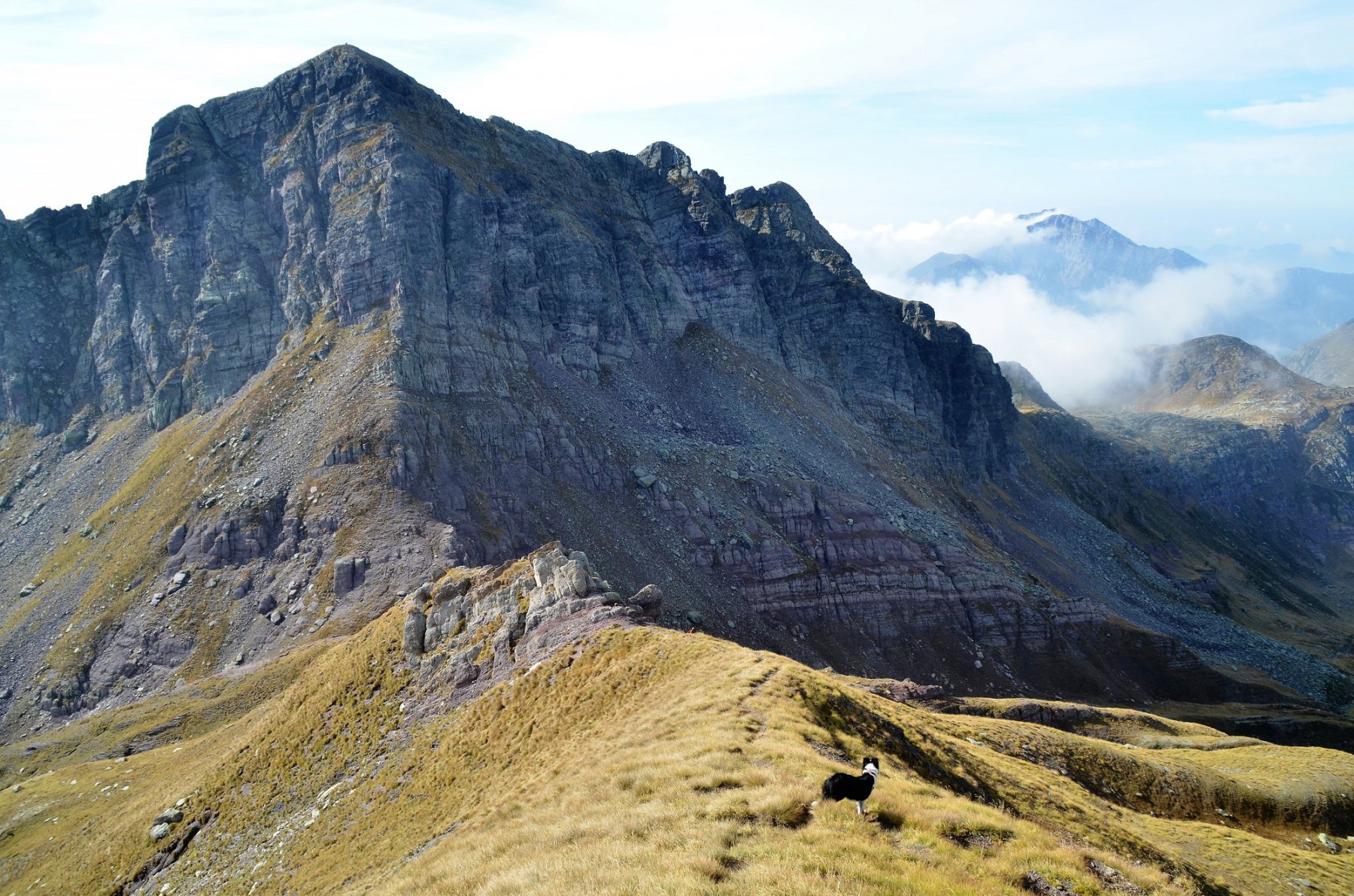 Corte dal crinale del Farno