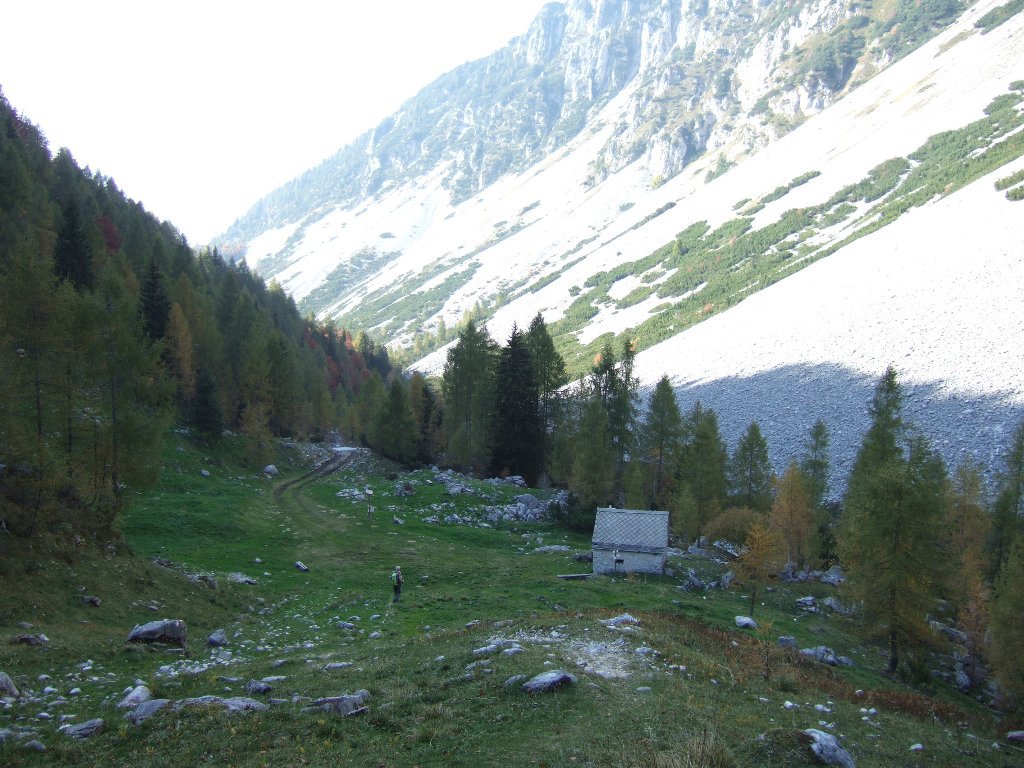 il cemento arriverà fin qui...