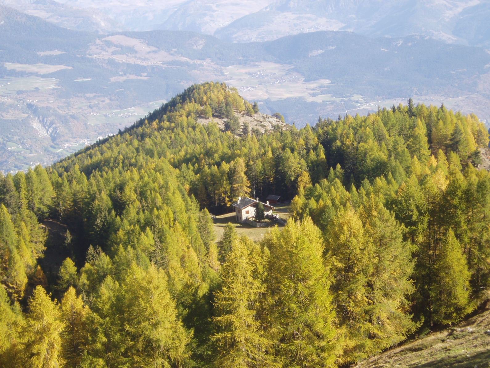 Alpeggio nella radura.