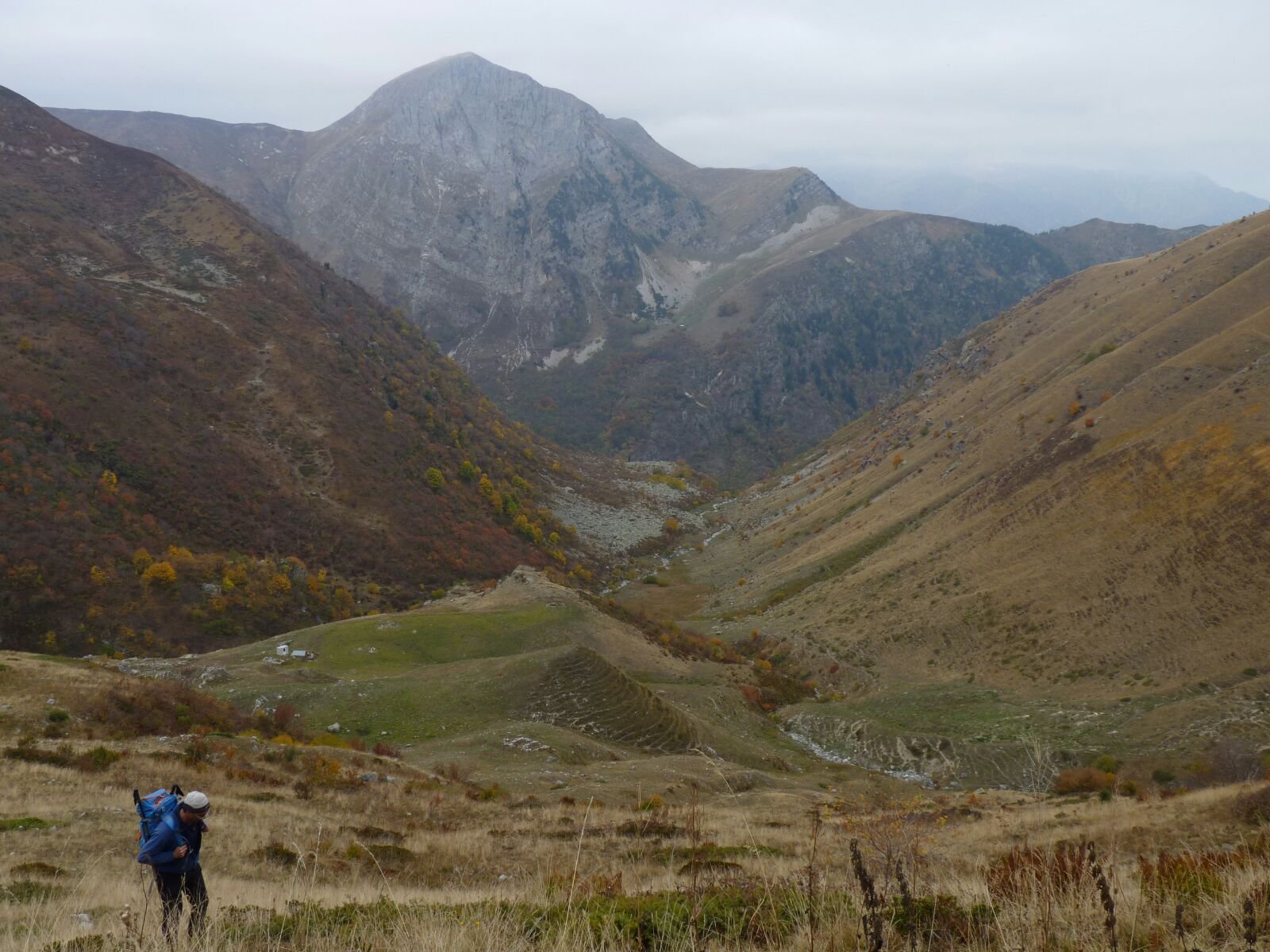 cinghilismo sopra il gias con prefabbricato