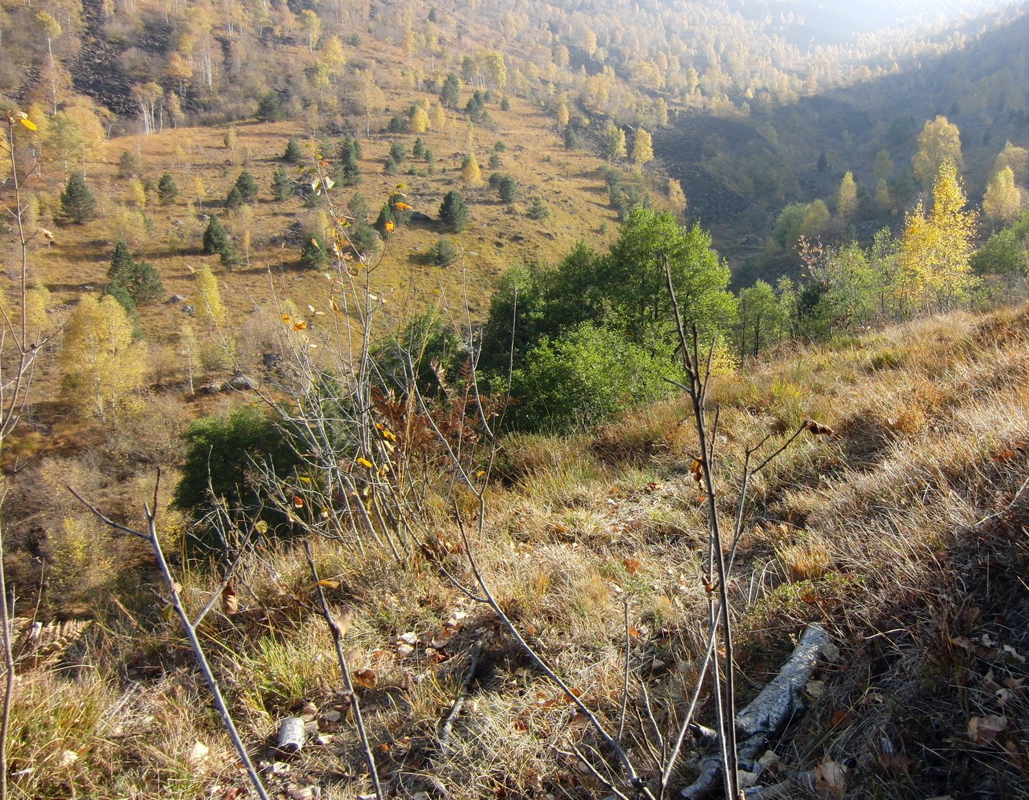 Dal Molar verso il Rio Toglie