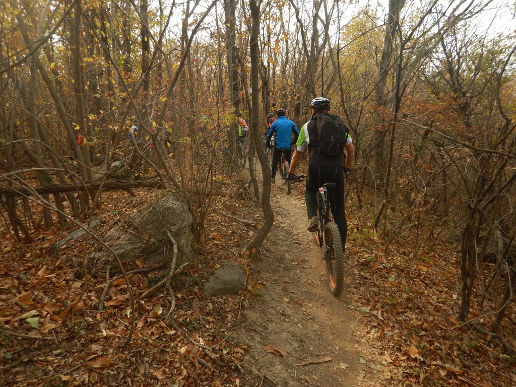 Sul sentiero del tasso