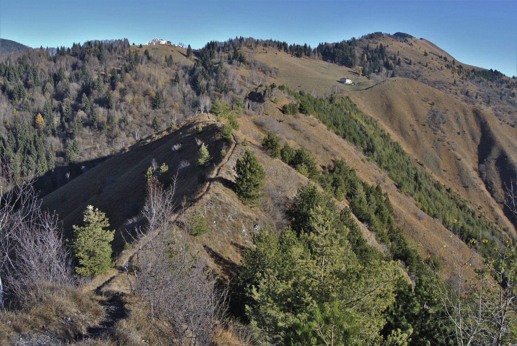 Il lungo crinale panoramico del Blum Parè