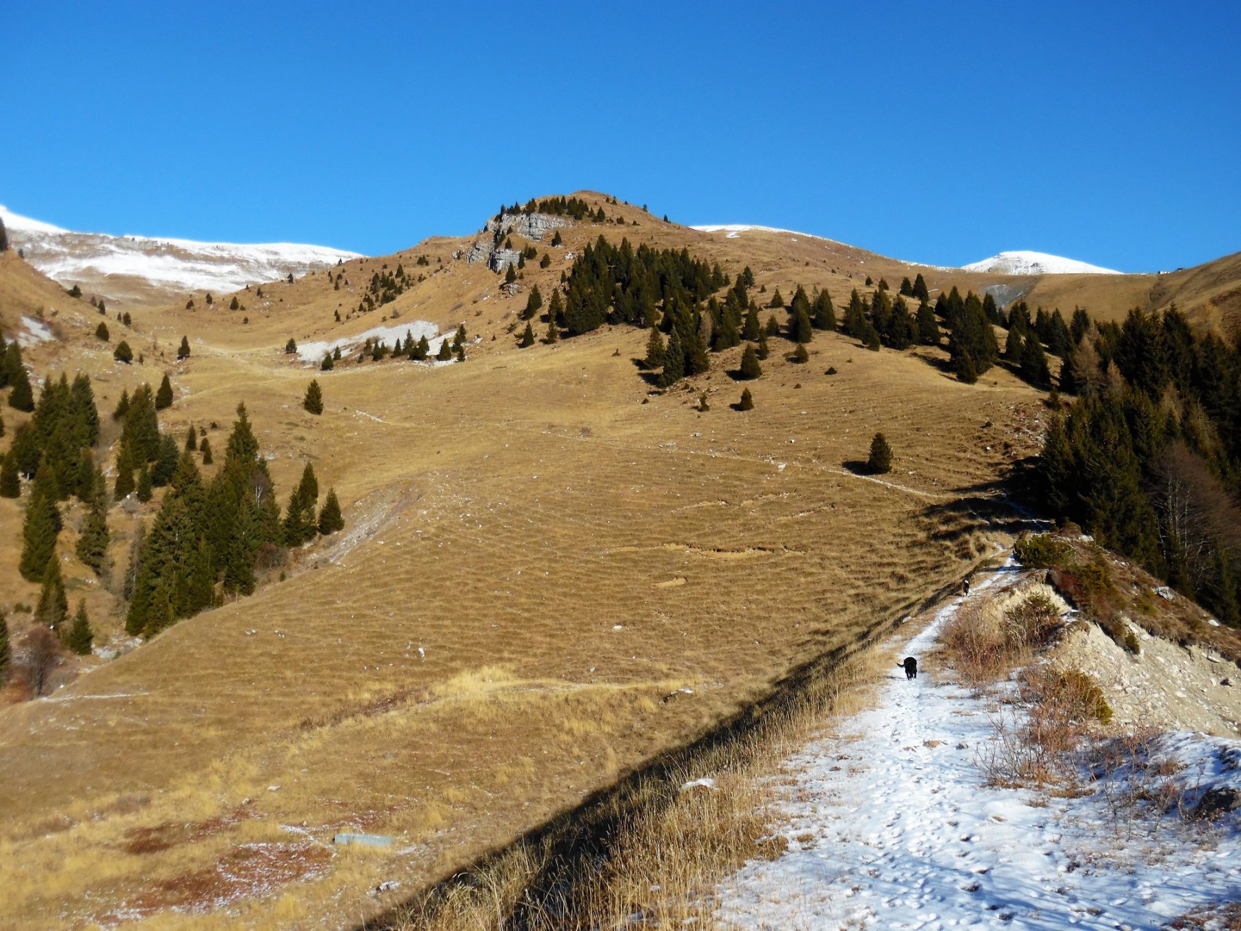 Ampi prati tra Baita bassa Verzuda e Baita alta Rigada