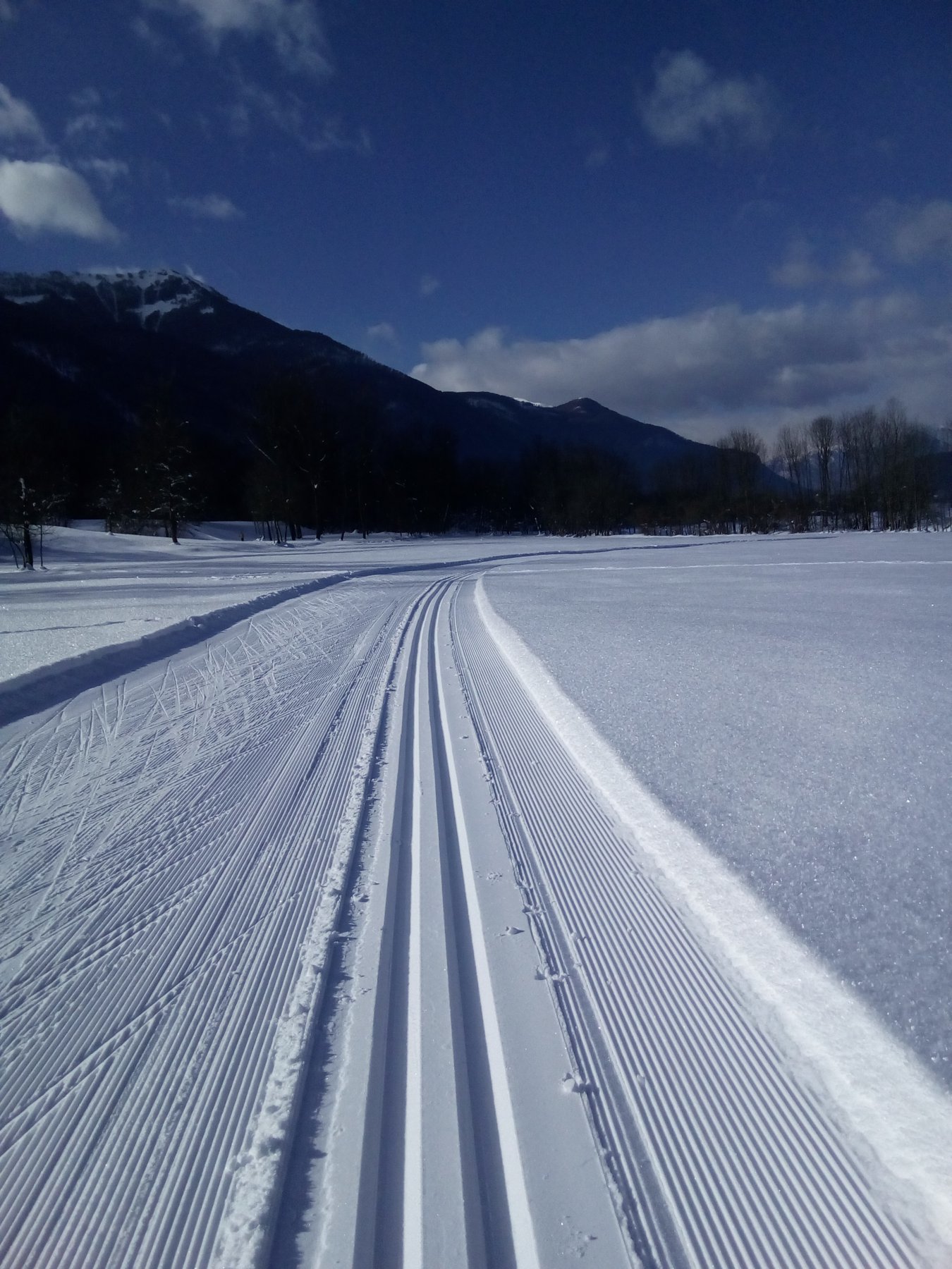 Piste di fondo Festiona