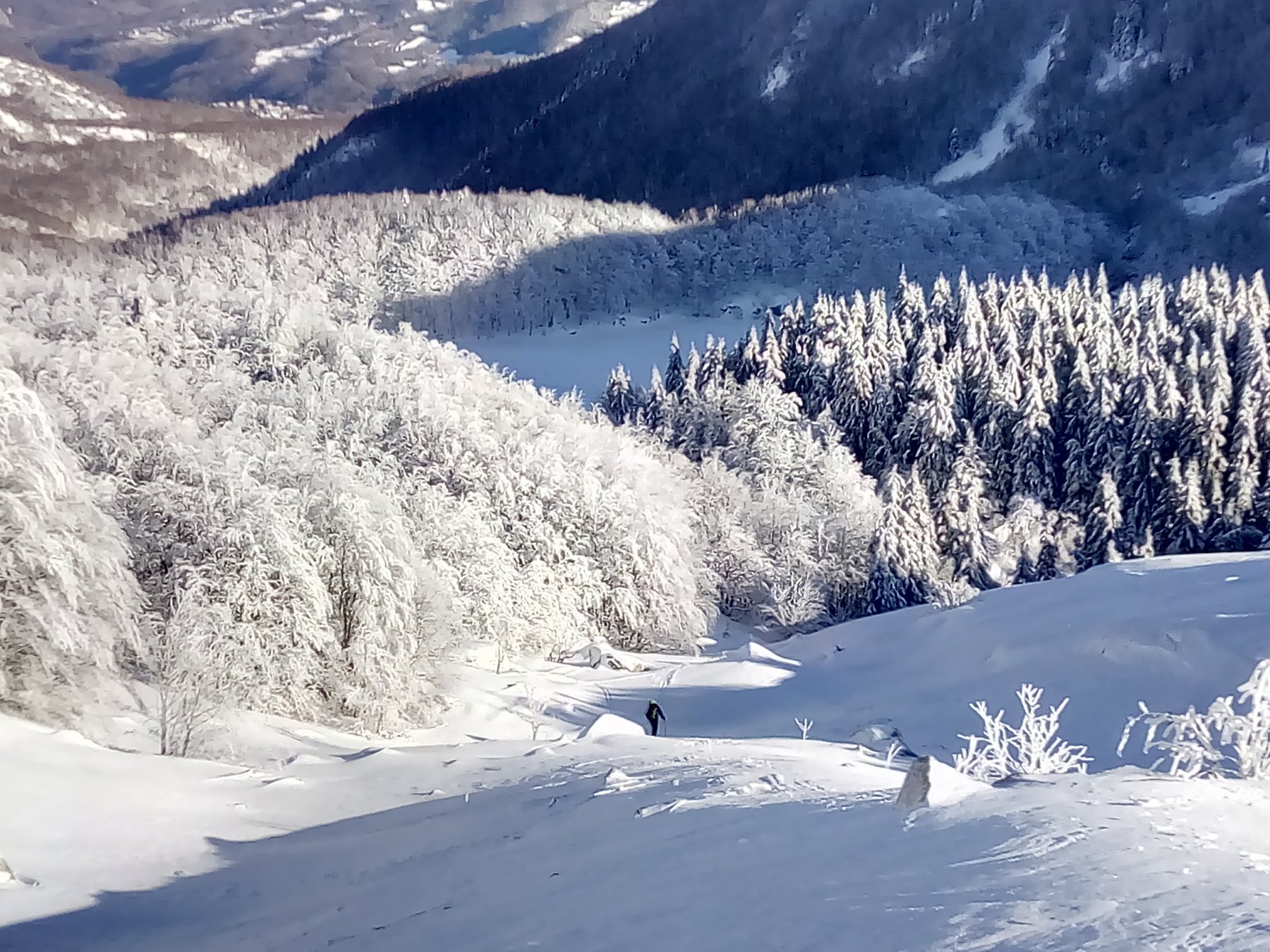 In discesa sopra il bosco