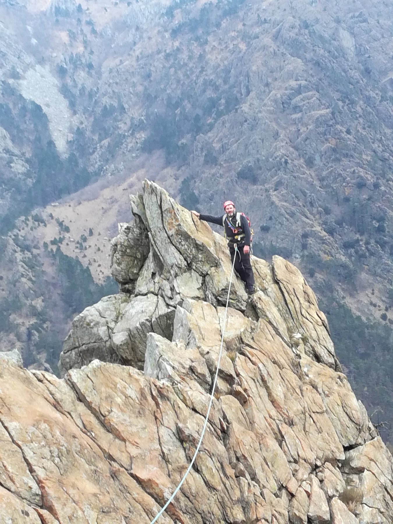 Uno dei passaggi interessanti della viz