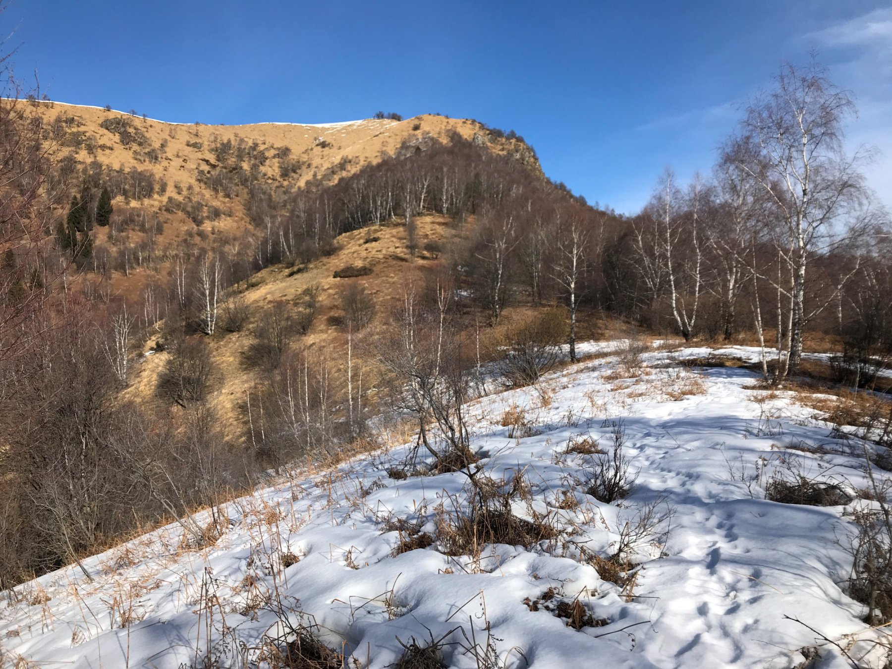 Usciti dal bosco si inizia a salire verso la cima del Camossaro