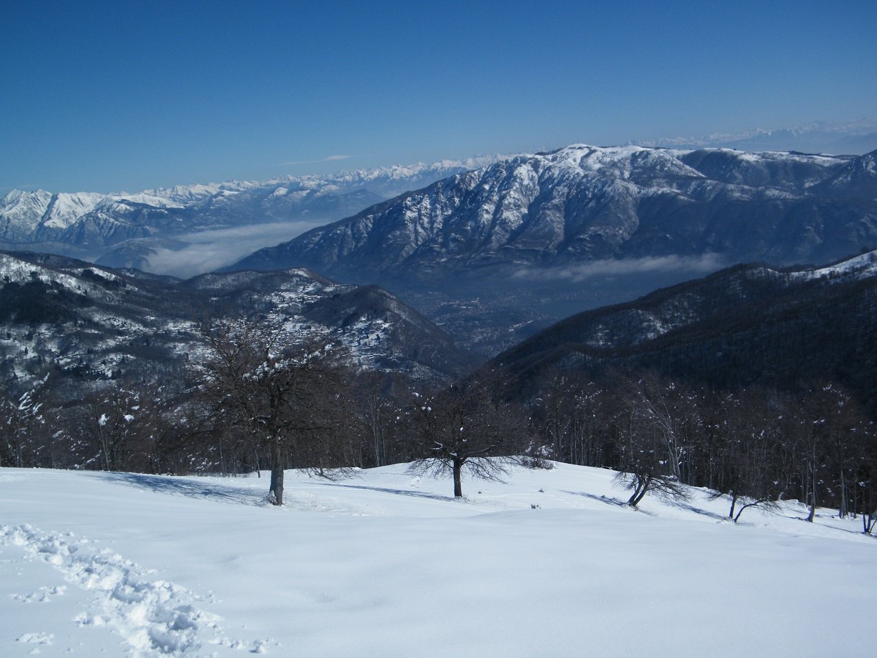 Panorama verso il Mottarone, da poco sotto la cima.