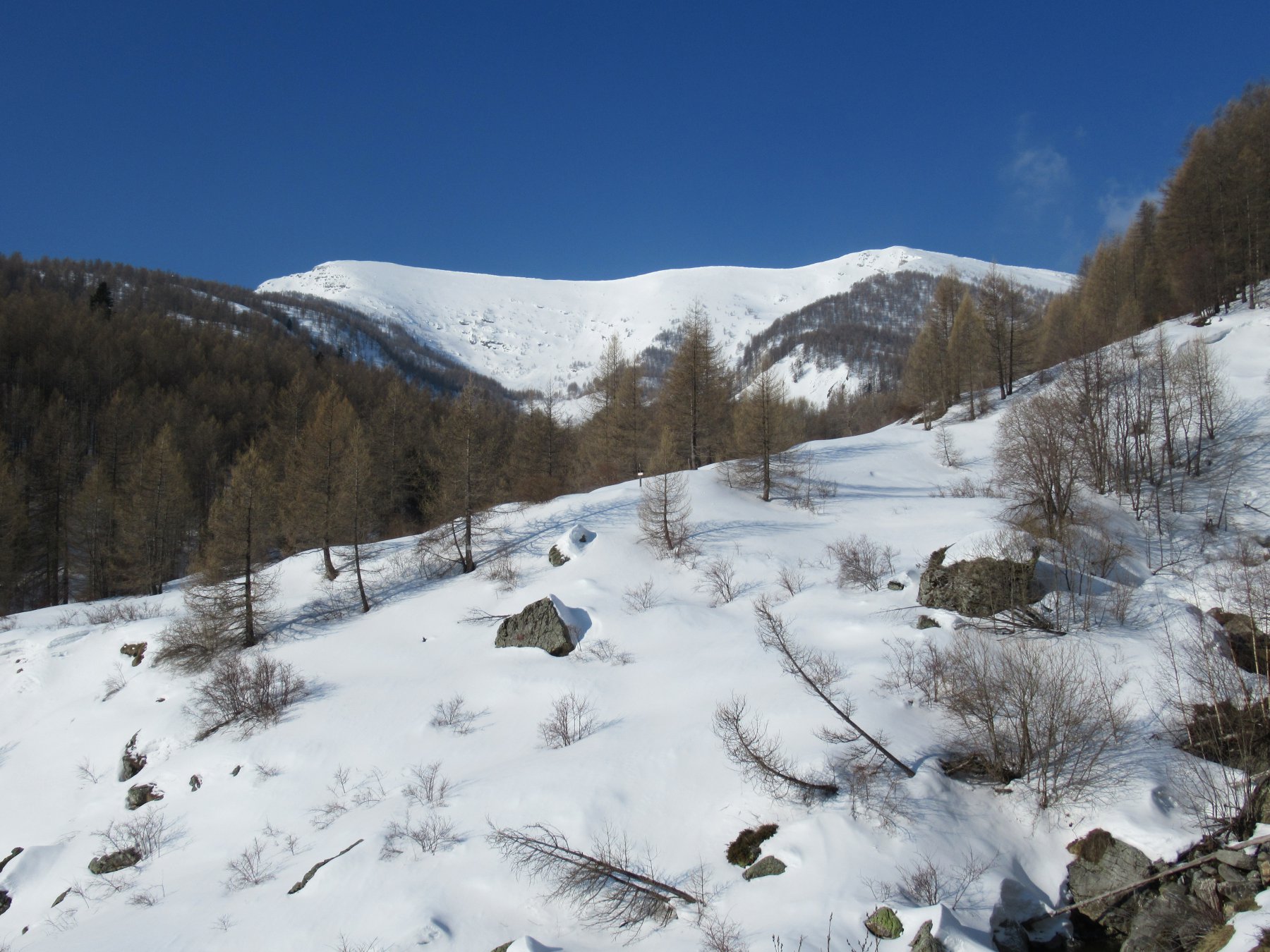 Monte Bertrand e Cima di Velega dalle Case Nivorina.