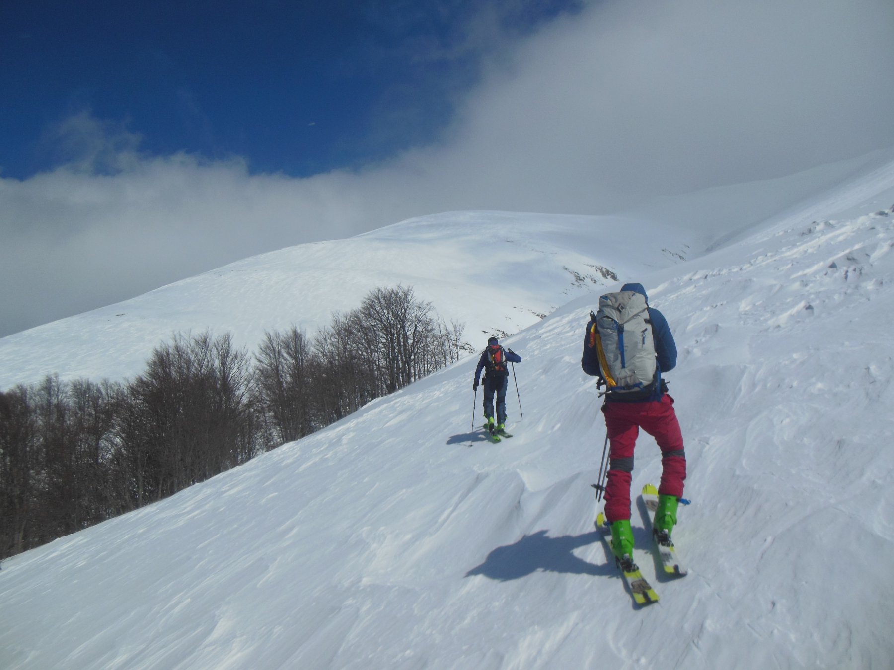 Pendii sopra il bosco