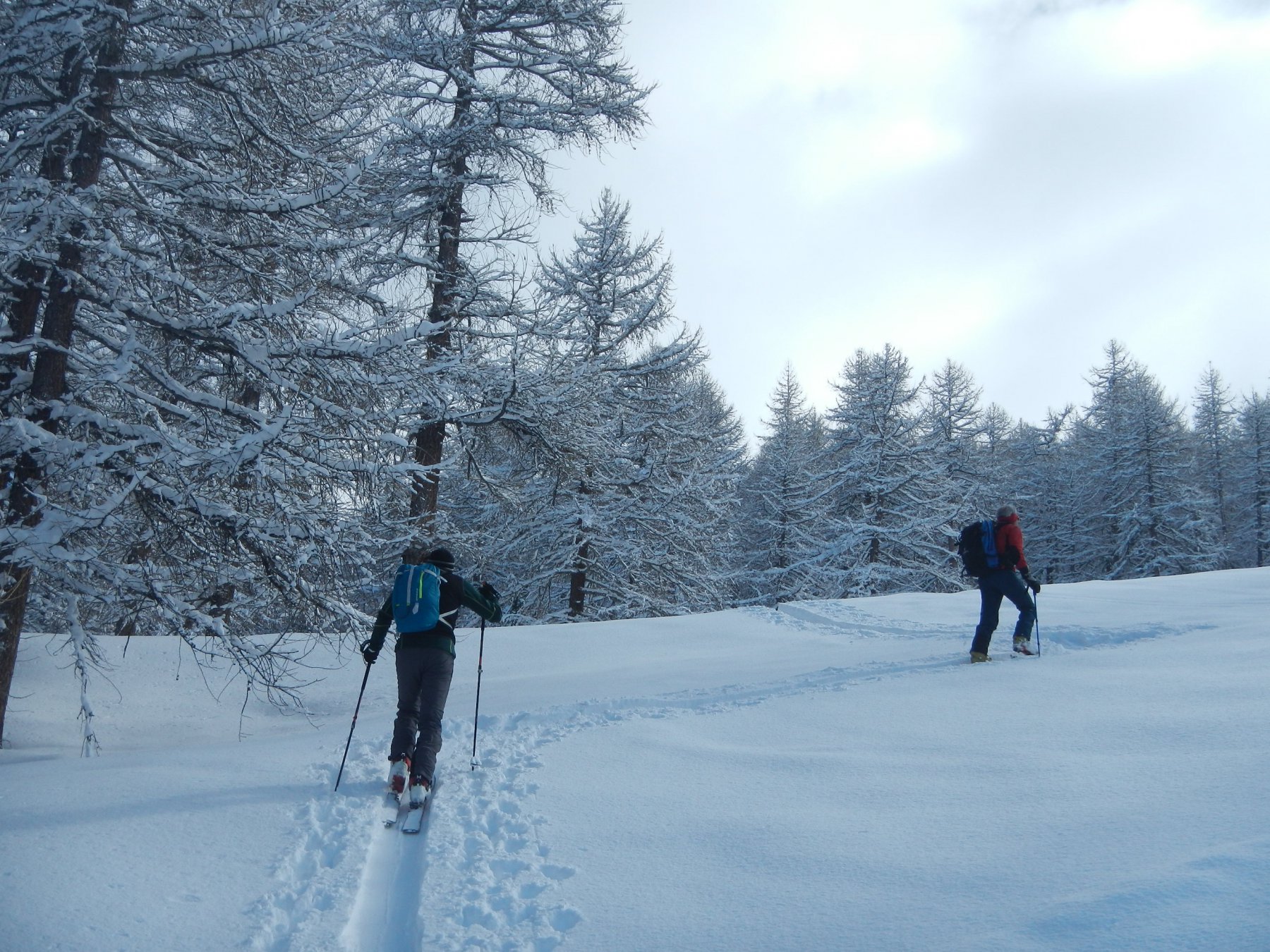 parte iniziale della salita
