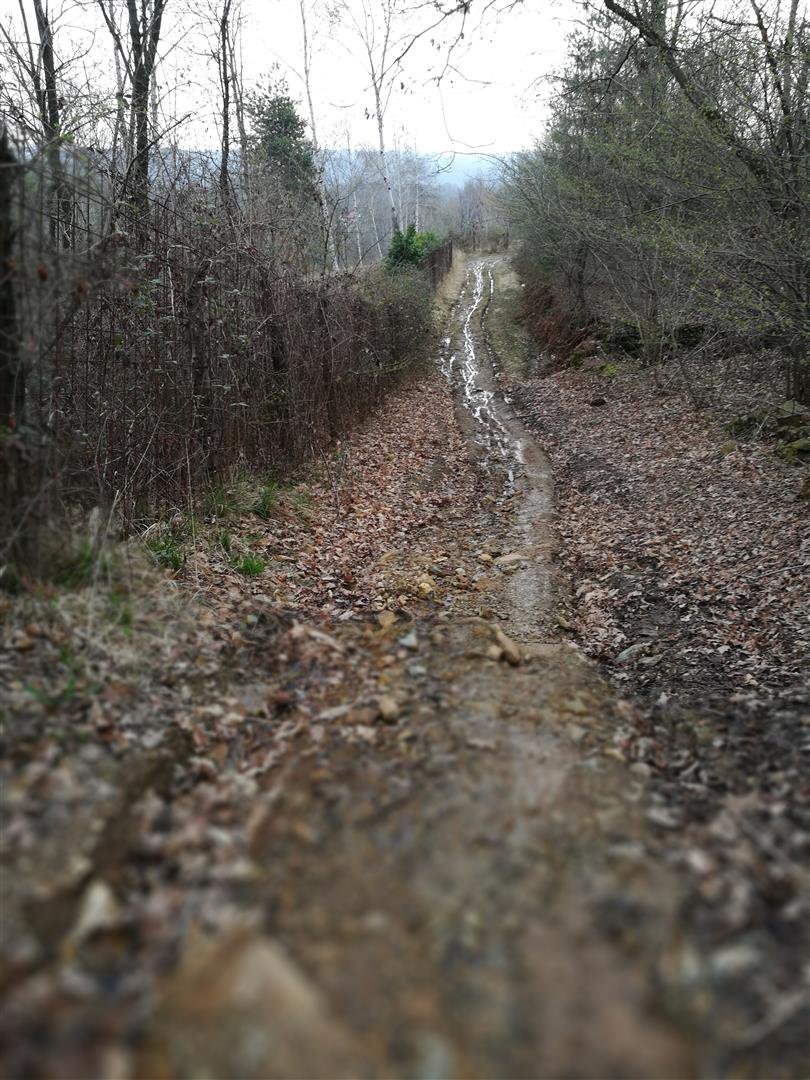 Zona fangosa nella parte bassa