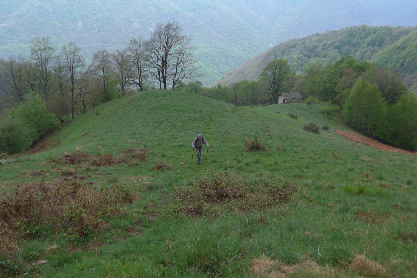 Arrivano tutti all'Alpe Paramea